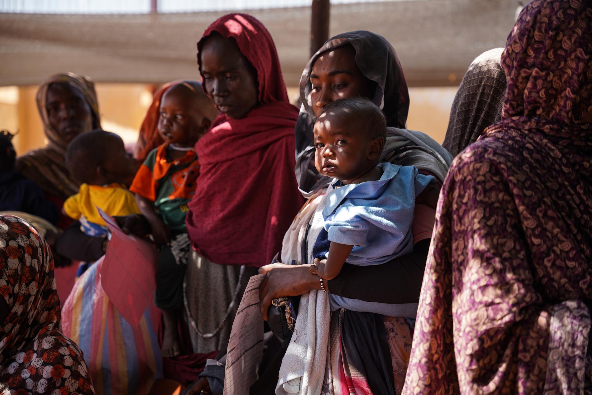 I flyktinglägret Zamzam i Darfur dör ett barn varannan timme, enligt Läkare utan gränser. Bild tagen i februari.