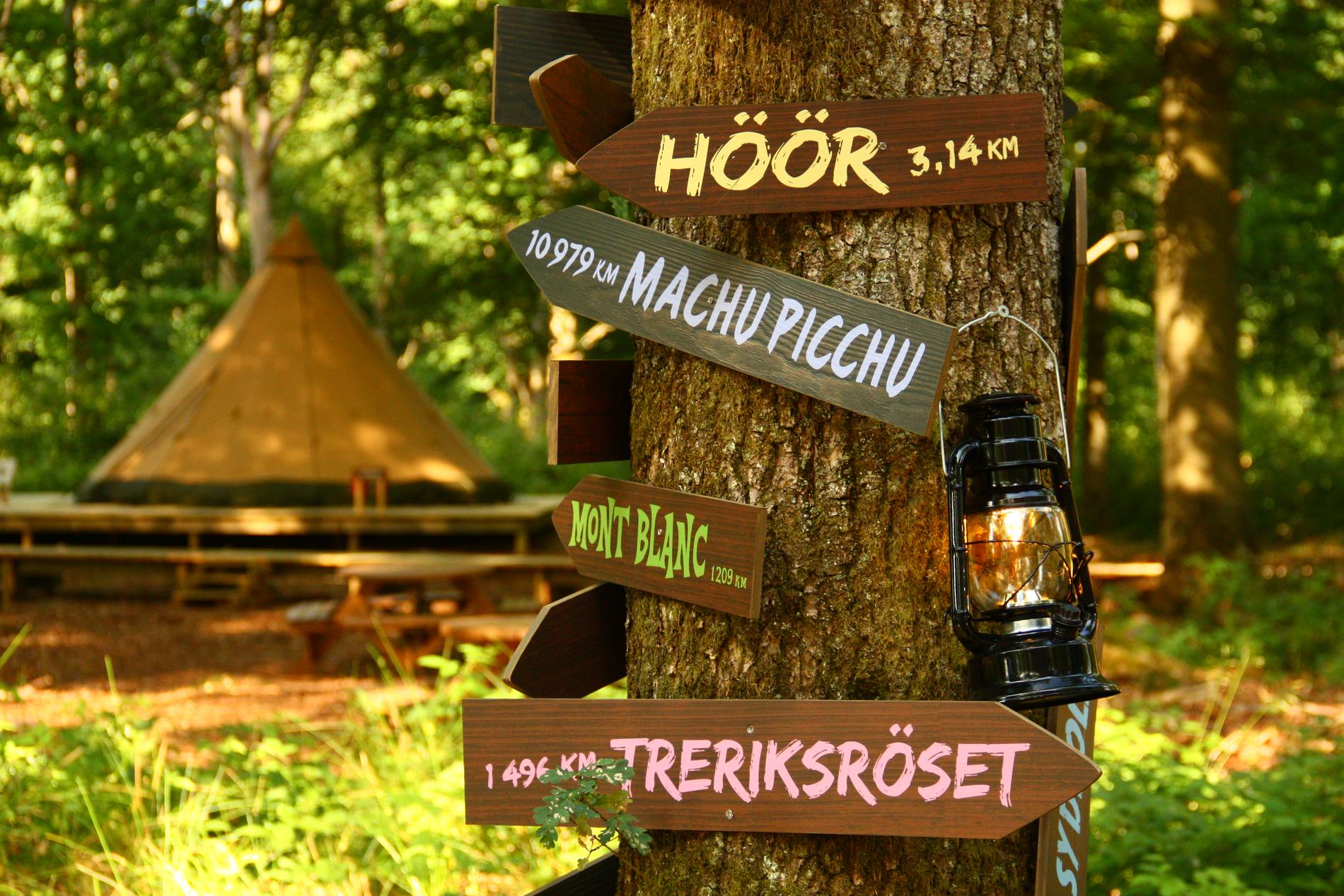 Tältbyn Camp Oak mitt i Skånes Djurparks djupa skog.