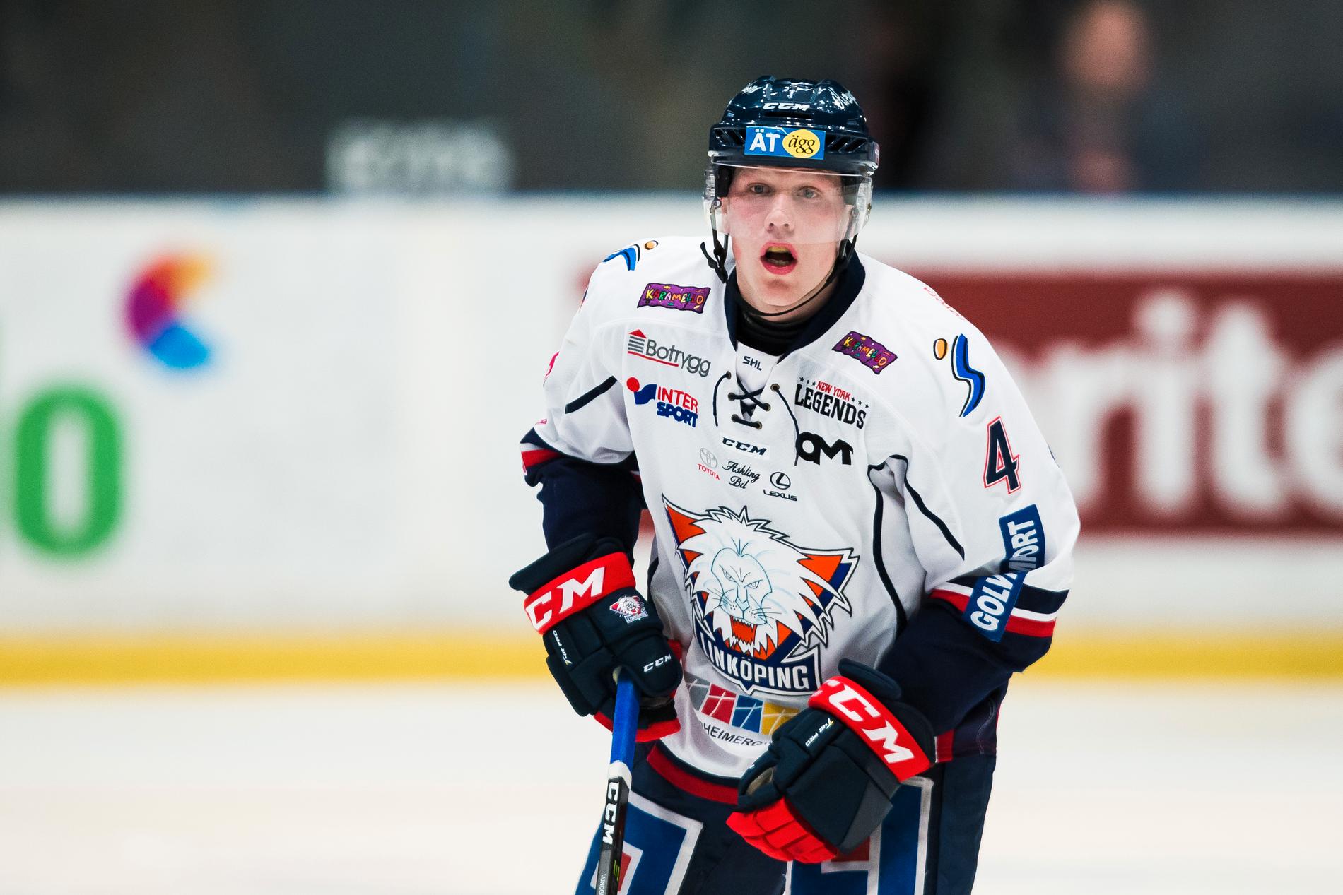 Niclas Lundgren ska ersätta Bertilsson i Brynäs.