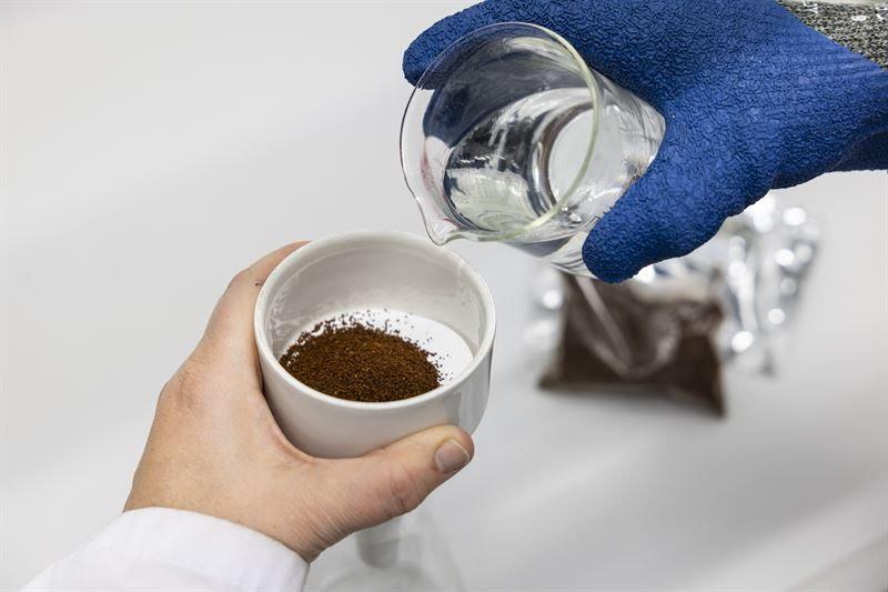 När kaffecellerna har skördats, torkats och rostats kan de användas som vanligt bryggkaffe enligt forskarna.