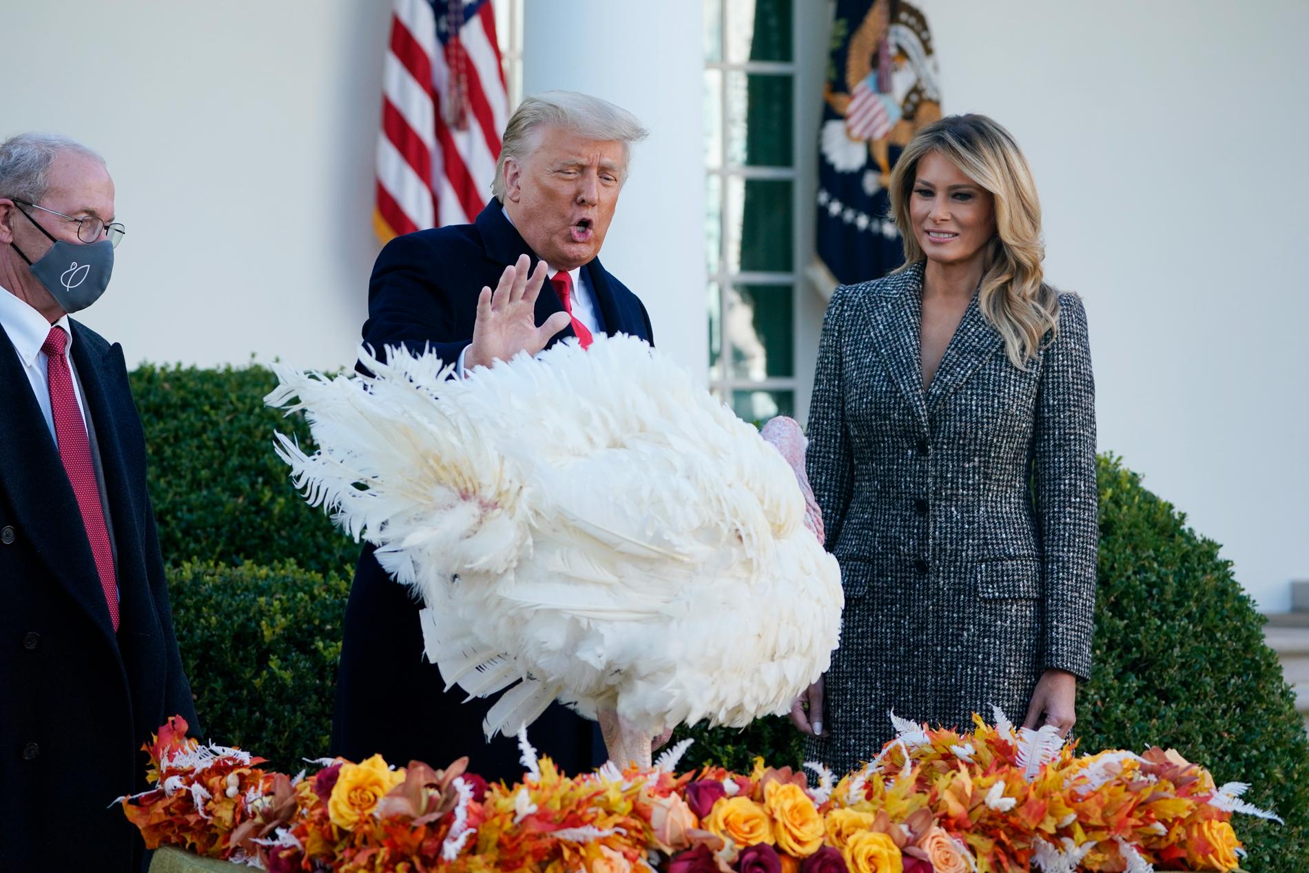 President Donald Trump skonade en kalkon från att slaktas i går tisdag inför den amerikanska högtiden Thanksgiving.