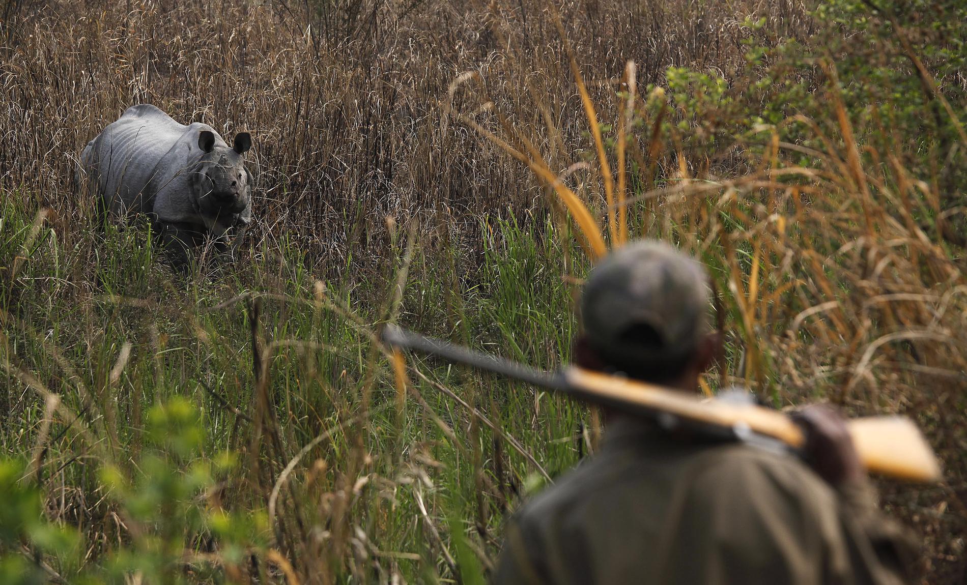 Naturreservat i Sydafrika har i regel beväpnade vakter, för att skydda djuren från tjuvjakt.