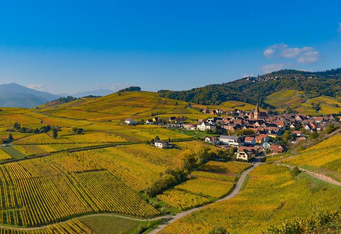 Cykling i det vingårdstäta landskapet i Alsace inbjuder till många stopp.