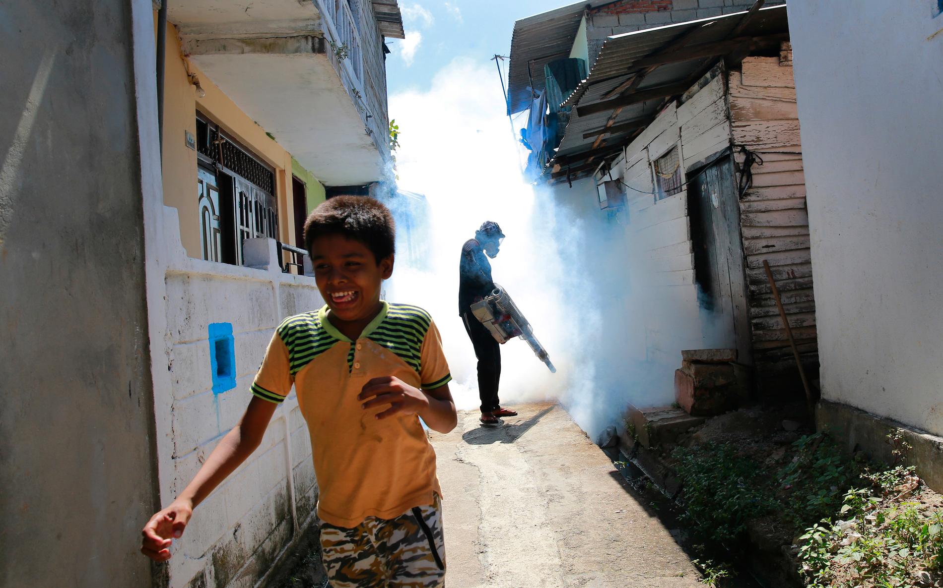 Besprutning är en metod som används för att ta död på myggor som bär viruset, som här i Colombo, Sri Lanka, under ett utbrott där 2017.