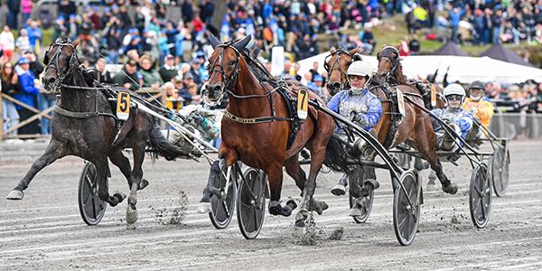 San Moteur matchas mot start i Sundsvall Open Trot.