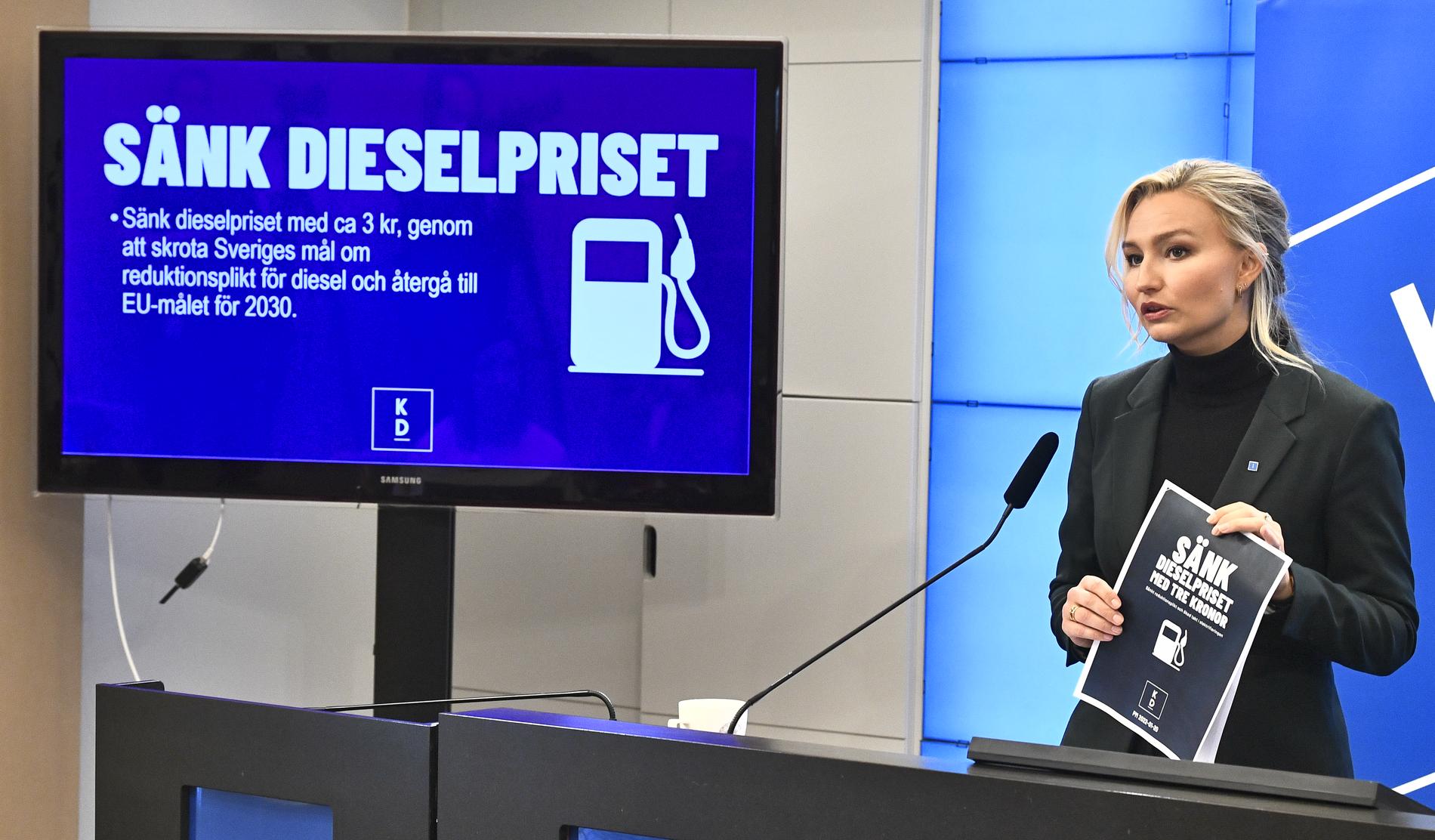 Kristdemokraternas partiledare Ebba Busch (KD) på en pressträff i våras. Nu är hon energi- och näringsminister i regeringen Kristersson. 