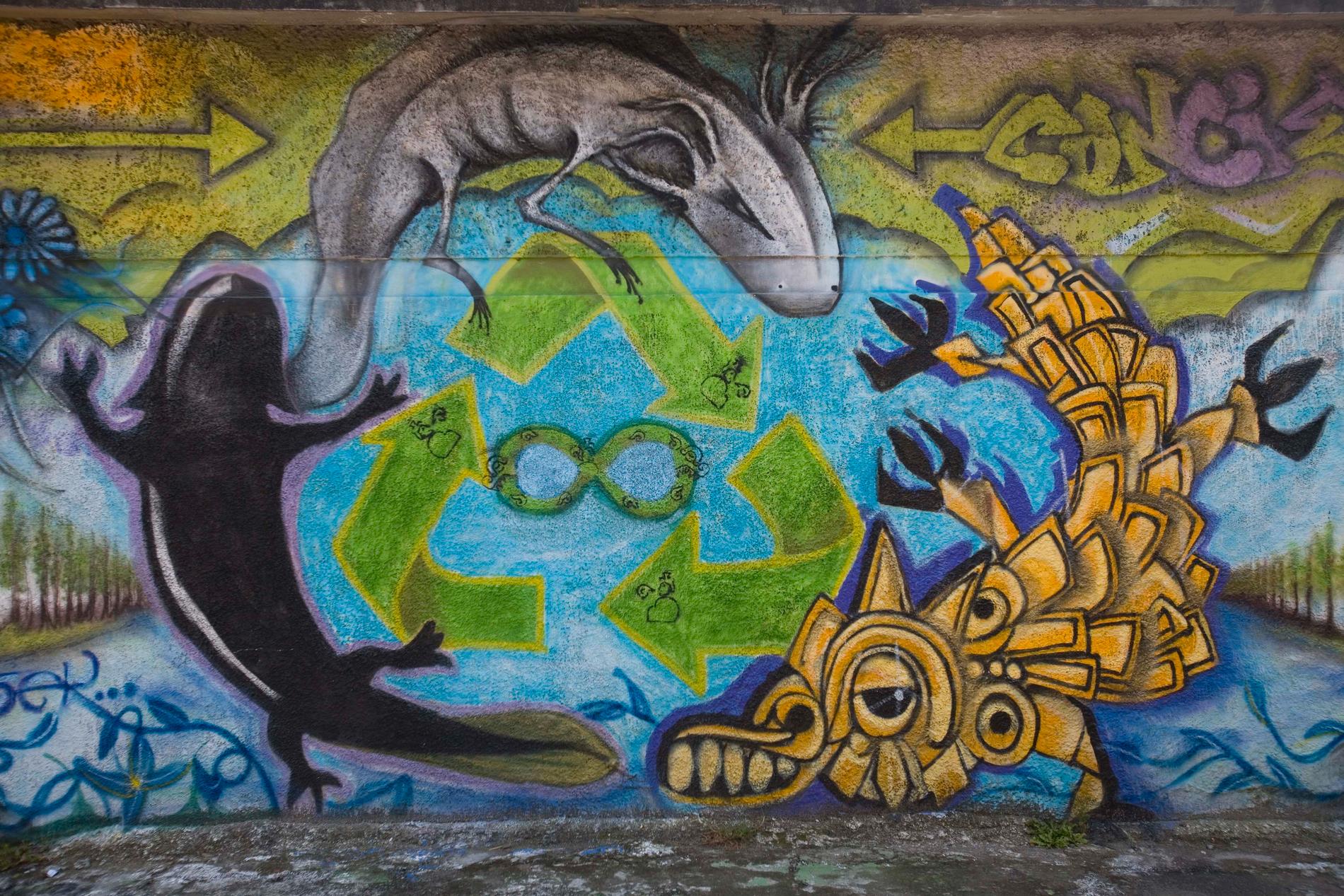 Axolotlar har blivit en nationalsymbol för Mexiko. Här en graffitimålning från Mexico City. Arkivbild.