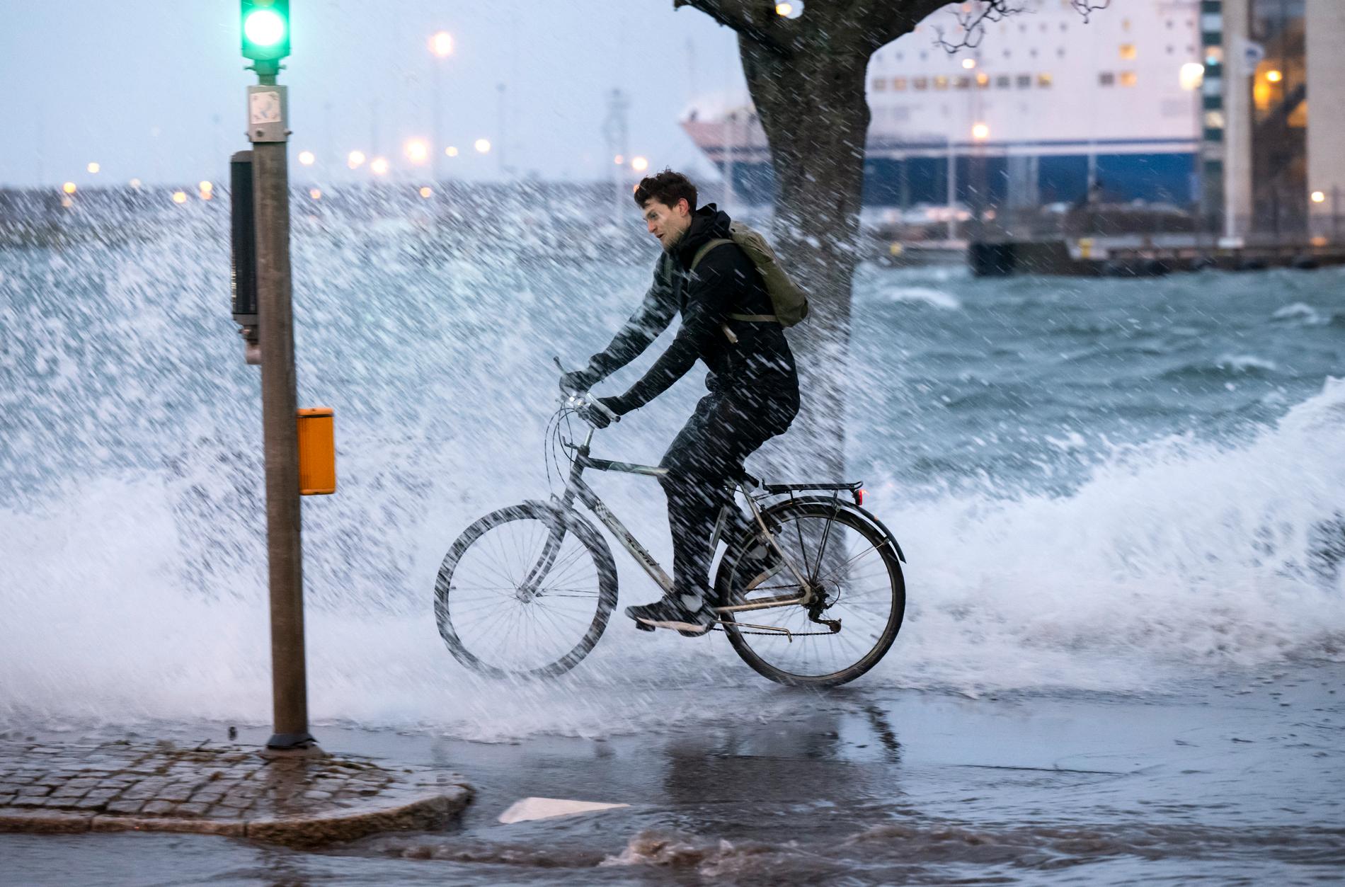 En cyklist får en ofrivillig morgondusch då vågorna slår över kajkanten på cykelbanan på Tyfongatan i hamnen i Malmö. Arkivbild.