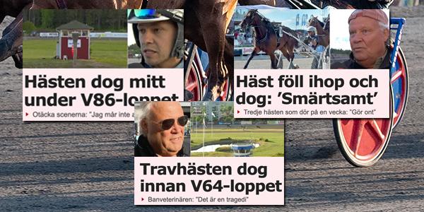 Flera hästar segnade ner och dog i somras på svenska travbanor i samband med tävling. 