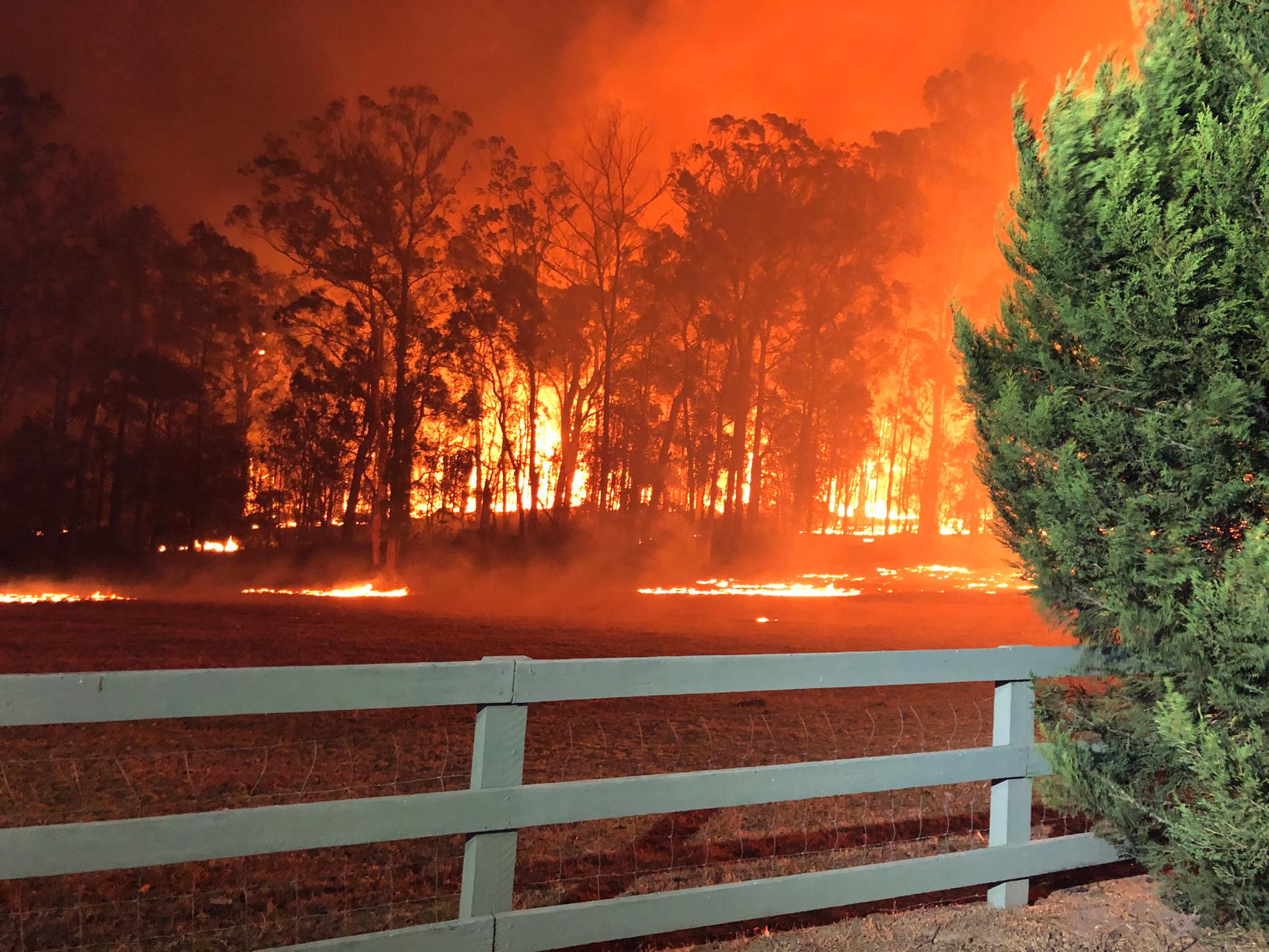 Terrängbrand vid Green Wattle Creek nära Oakdale i delstaten New South Wales i december. Arkivbild.