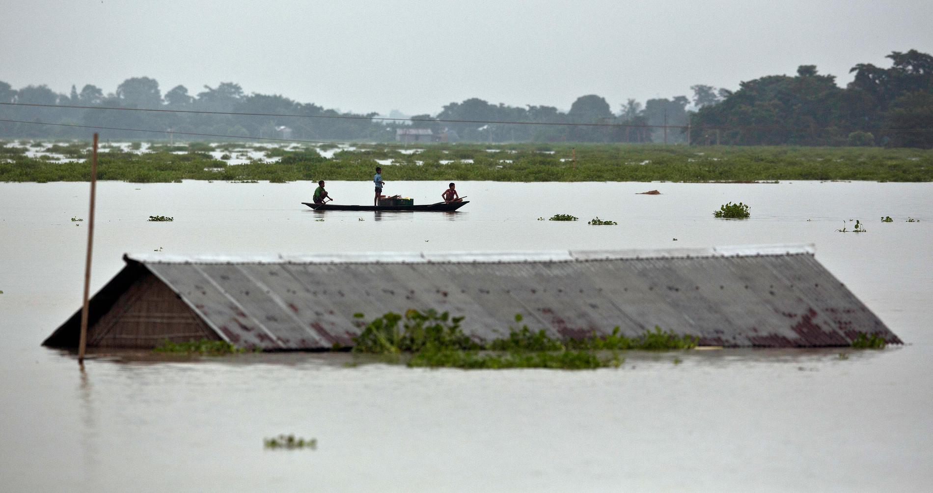 Bybor ror förbi ett hus i östra delstaten Assam i Indien, som drabbats hårt av regnen.