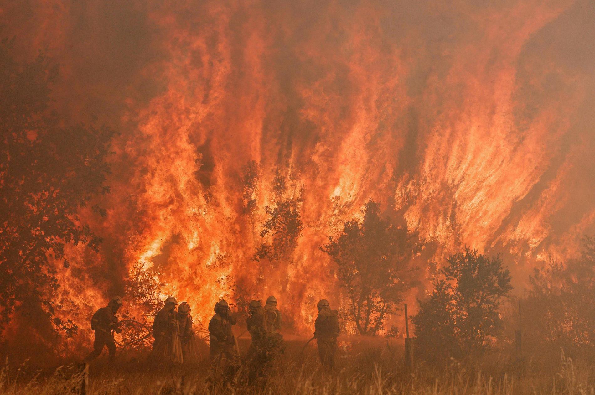 Brandmän kämpar mot öppna lågor i Pumarejo de Tera, i norra Spanien. 
