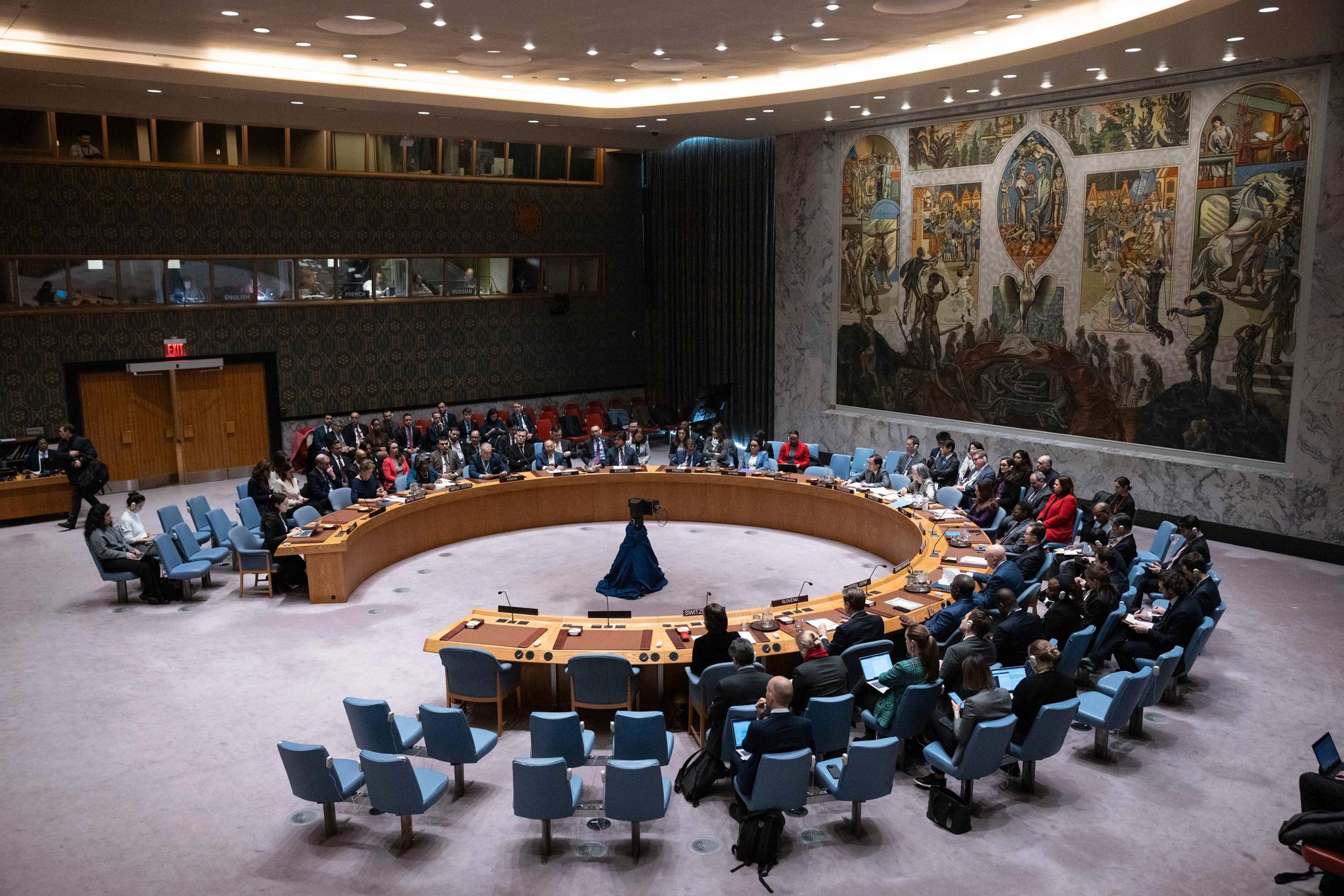 FN:s generalförsamling under fredagens omröstning om vapenvila i Gaza.