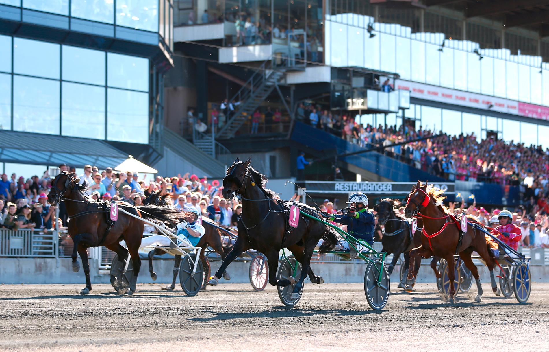 Här vinner Ringostarr Treb och Wim Paal Elitloppet. På lördag såg det upplagt för stjärnhästen att vinna 100 000 euro i Kymi Grand Prix, men nu är hästen skadad.