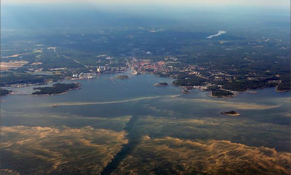 Blommar Explosivt  Algblomningen beskrivs som explosionsartad på vissa håll. En bidragande orsak är övergödning. Bilden är tagen den 21 juli utanför Karlshamn.