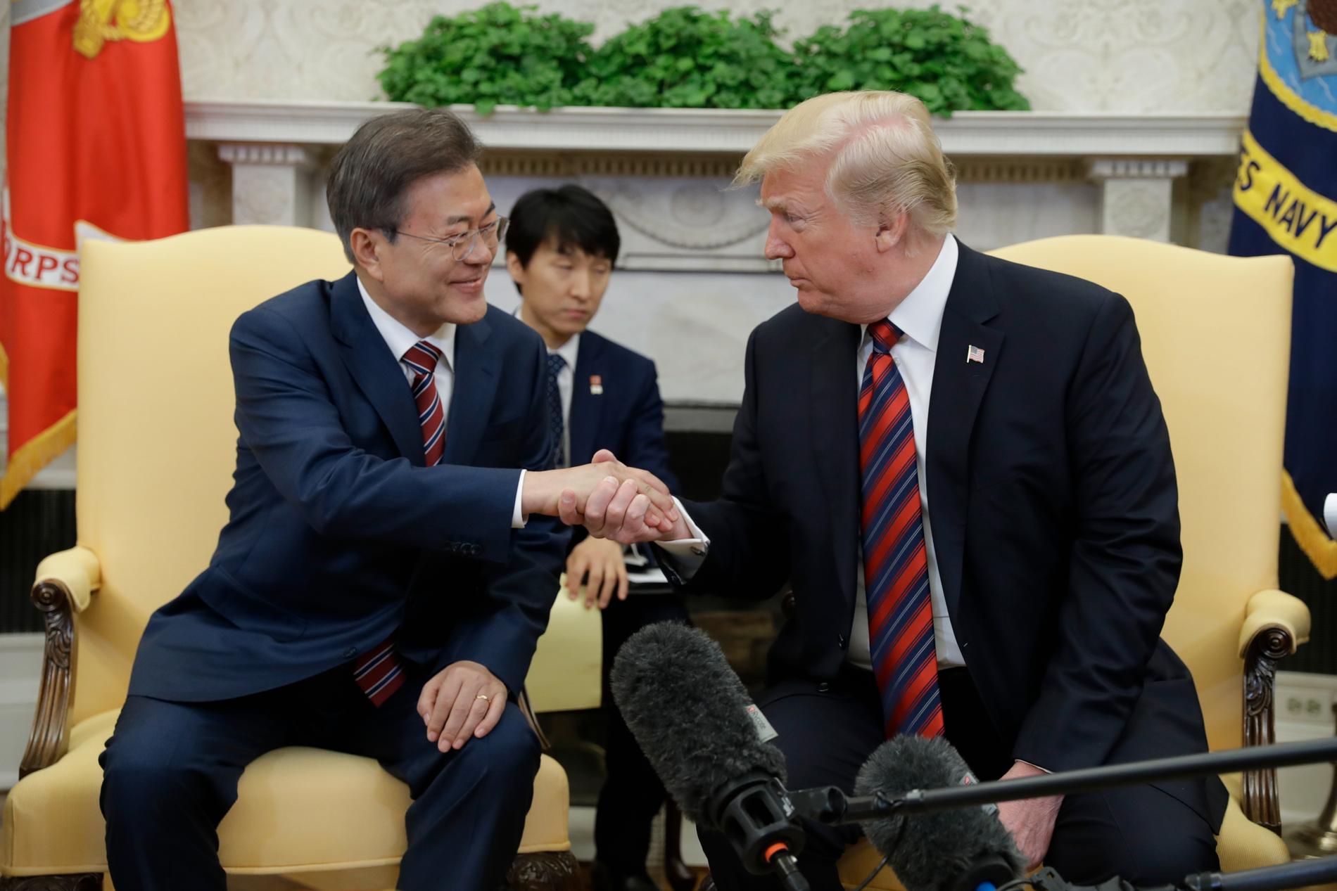 USA:s president Donald Trump och Sydkoreas president Moon Jae-In möttes på tisdagen i Vita huset.