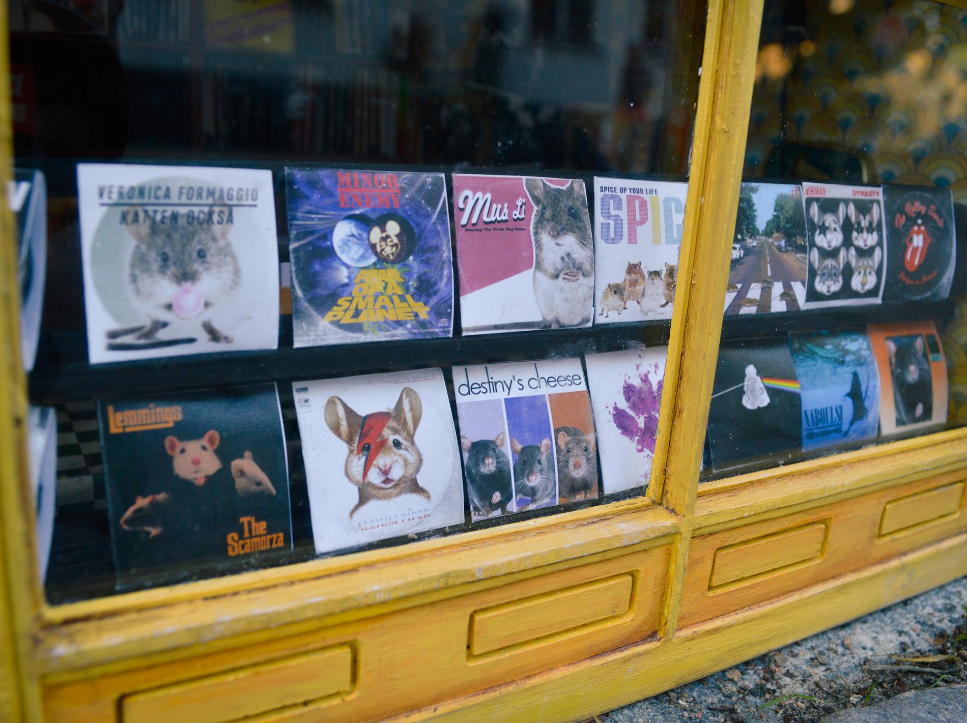 I skyltfönstret finns bland annat Veronica Formaggios nya platta ”Katten också”.