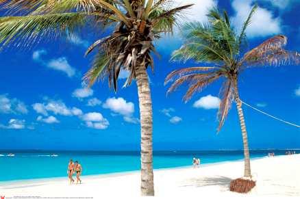 ÖRNskönt! Palmvajande Eagle Beach har utsetts till Karibiens vackraste strand.