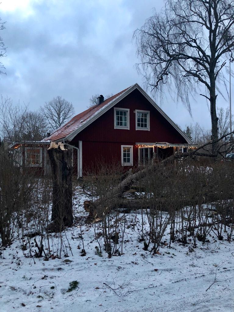 ”Stormen skördade mitt gungträd inatt med ett våldsamt brak i Marielund uppland. Bilen,huset o häcken klarade sig dock.”