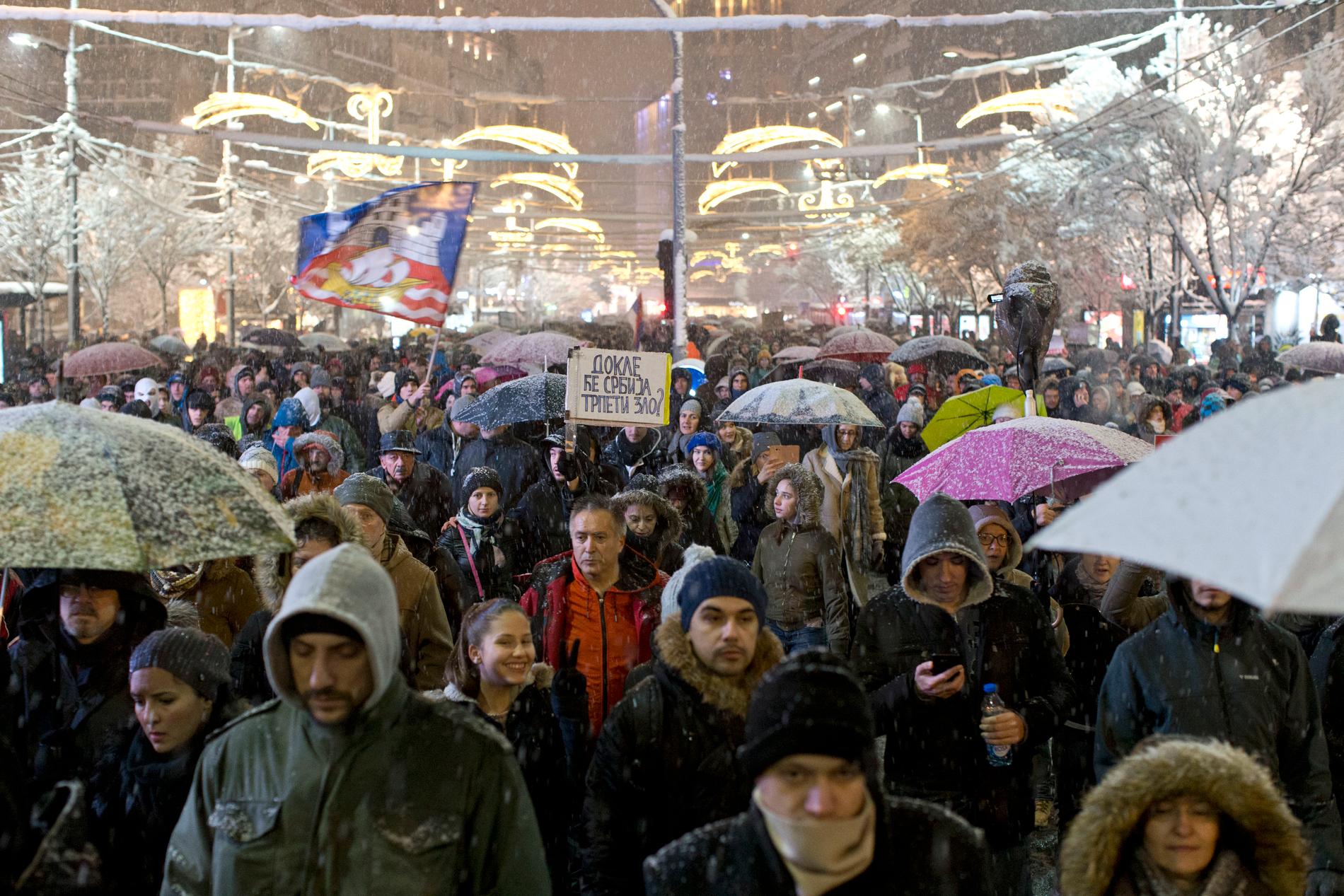 Oppositionsanhängare trotsade snö och kyla under demonstrationen i centrala Belgrad.