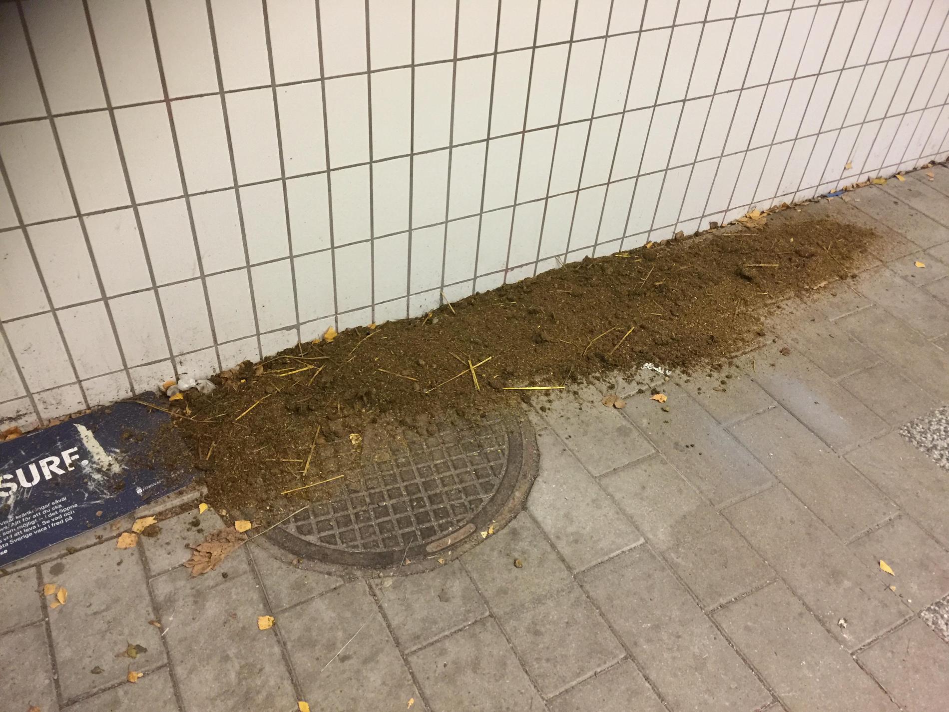 Det var i en gångtunnel nära tunnelbanan som Petter Kallioinen såg gödslet. 