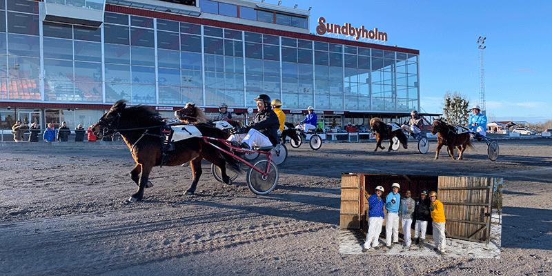 Mathias Holmgren tog hem segern i ponnyloppet ”Schlagerduellen” på Eskilstuna med hästen Gullsmyrans Facit