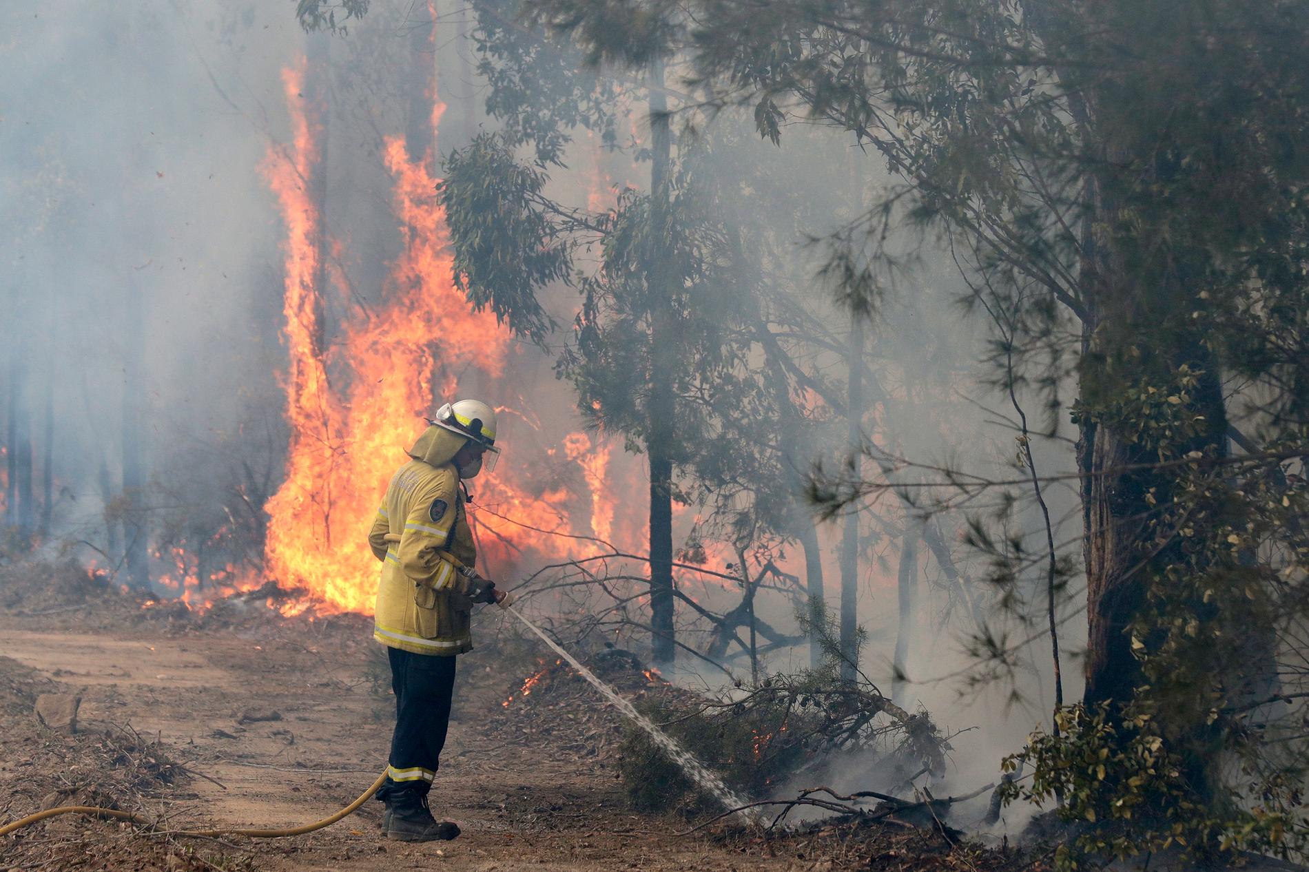 En brandman i arbete nära samhället Tomerong i delstaten New South Wales i Australien.