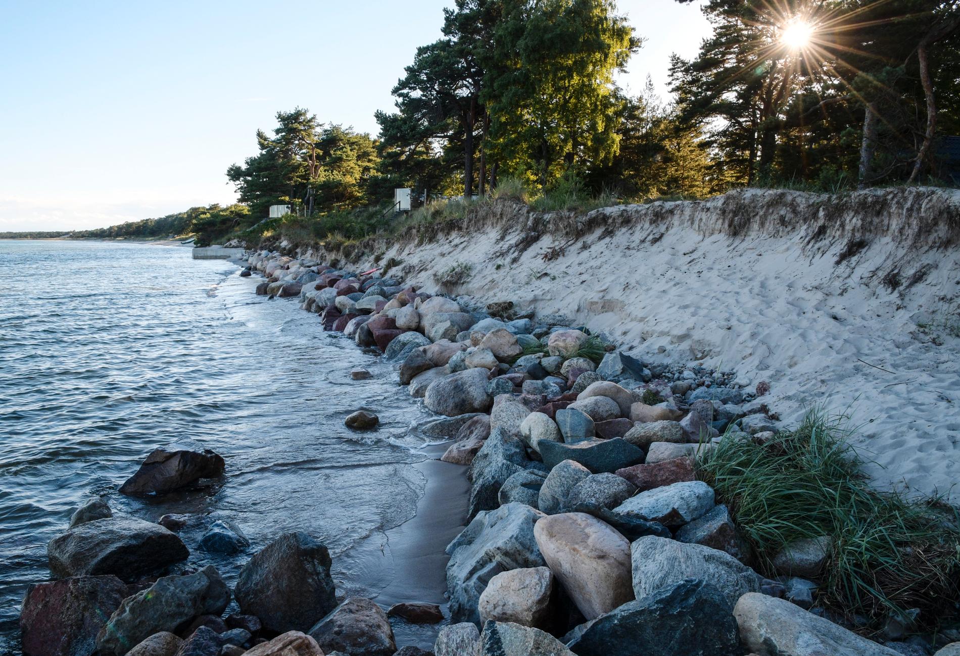 Vid Strandvägen i Äspet i Åhus når havet ända upp till skogsbrynet. Stranderosion runt Skånes kust blir ett alltmer påträngande problem. Arkivbild.