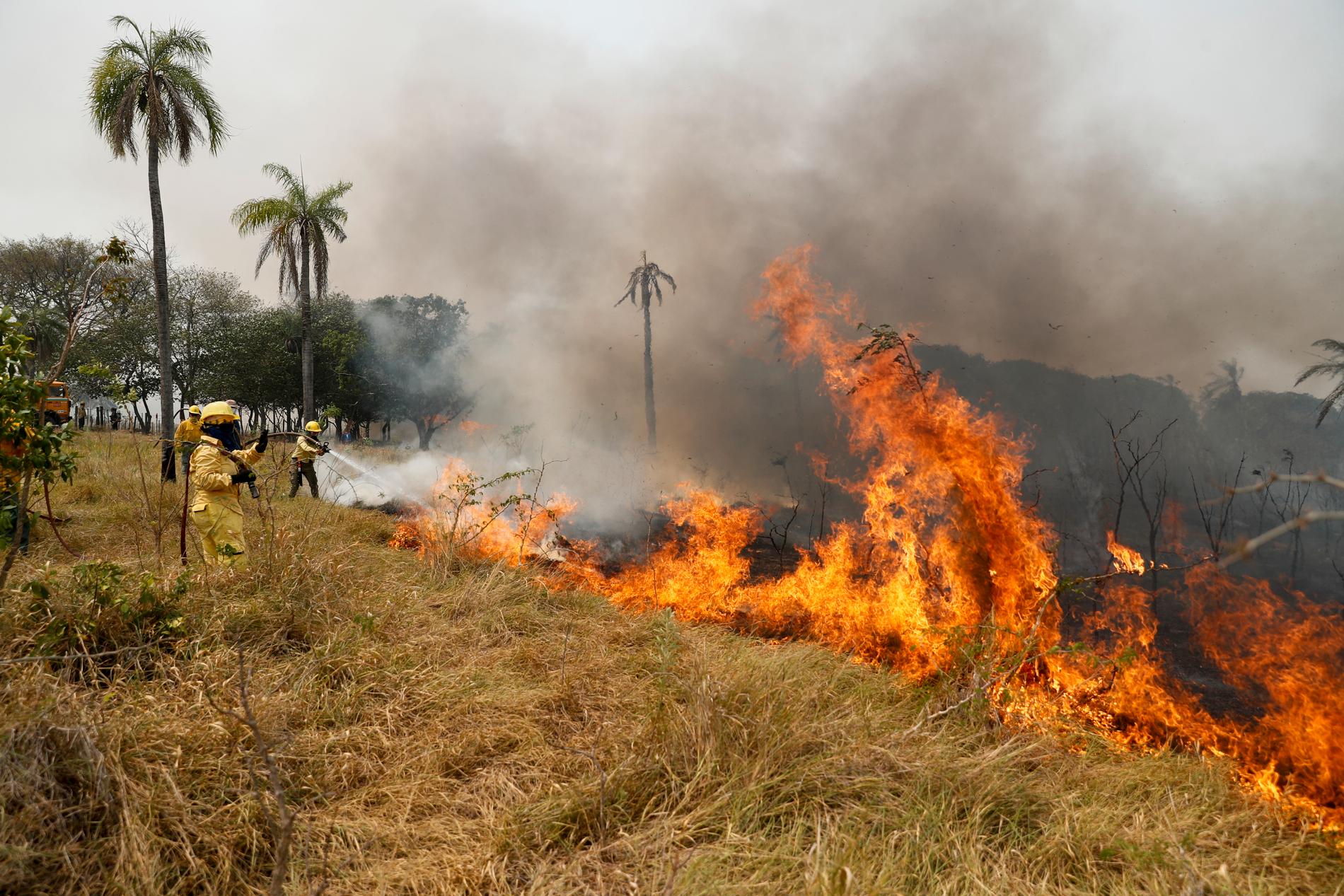 I Paraguay har hettan och torkan lett till omfattande eldsvådor.