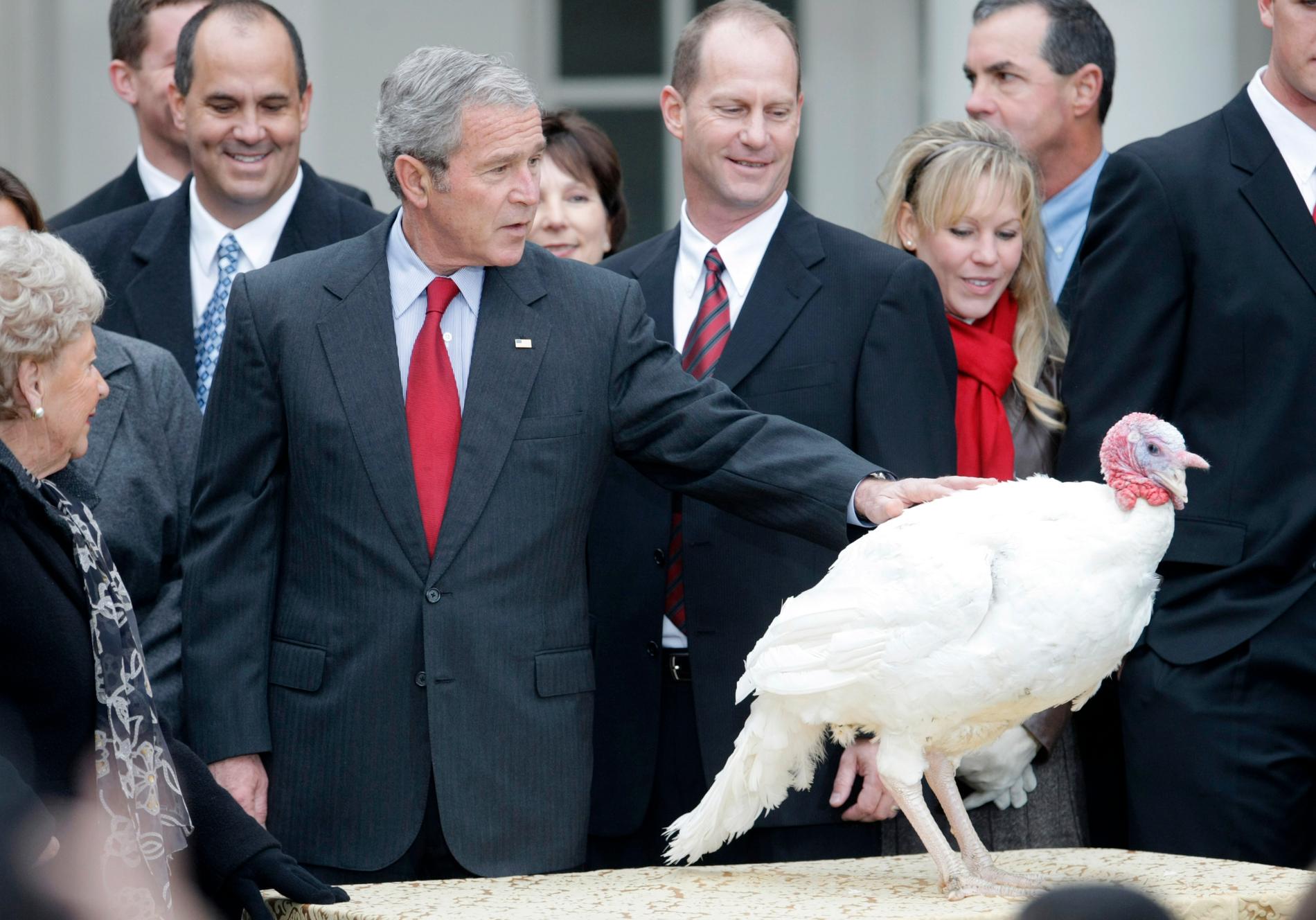 President George W Bush 2007. Arkivbild.