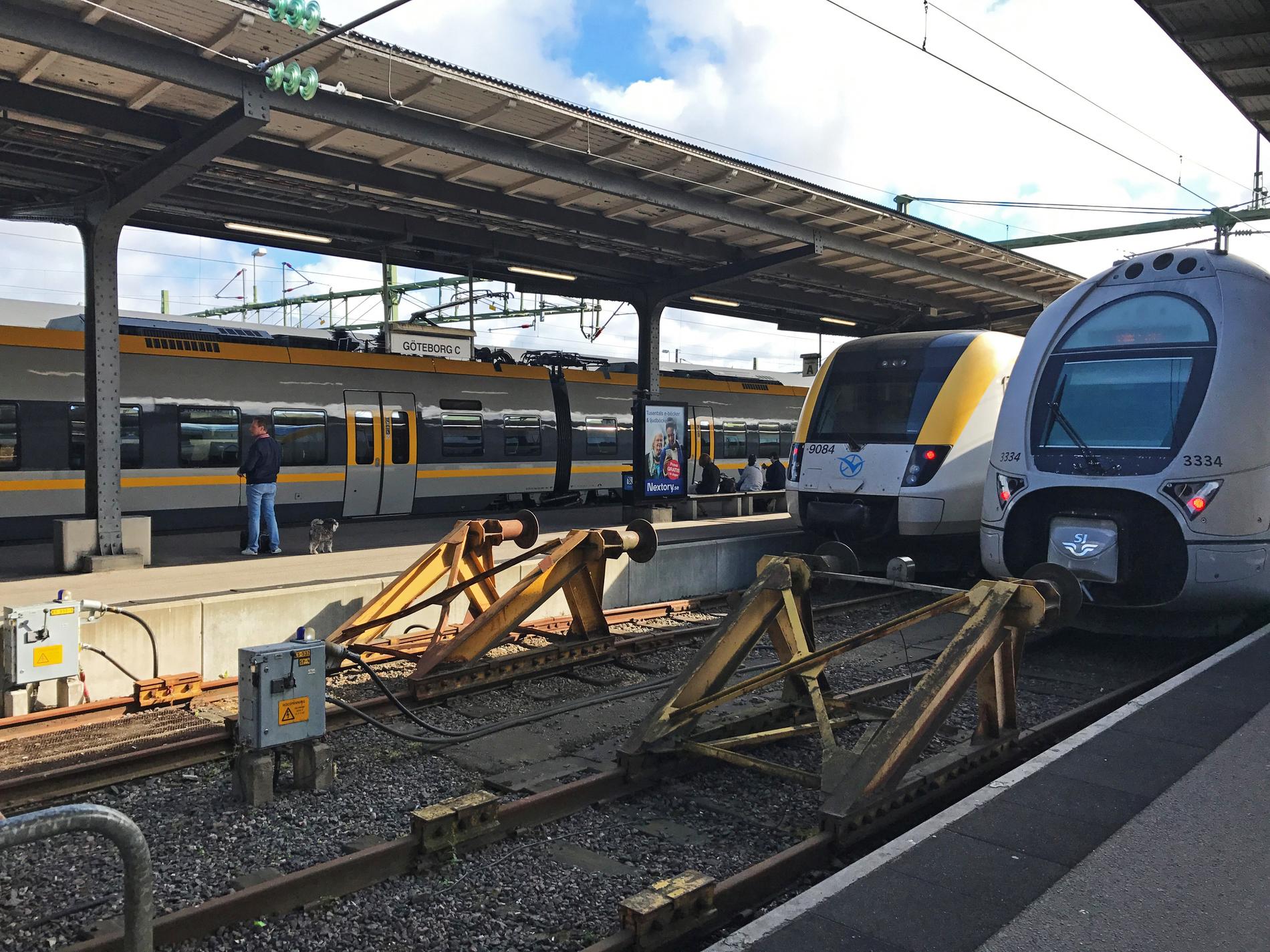Alla tåg till och från Göteborg har stoppats efter att en kontaktledning rivits ner.