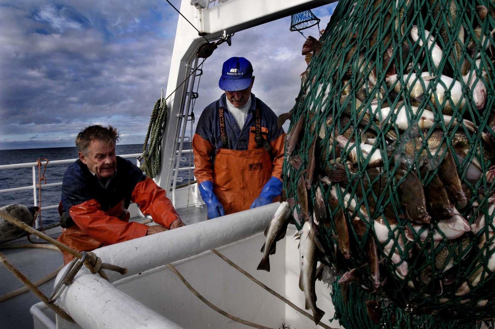 EU-kommissionen och Sverige vill behålla stoppet för torskfiske i vissa delar av Östersjön även nästa år. Arkivbild.