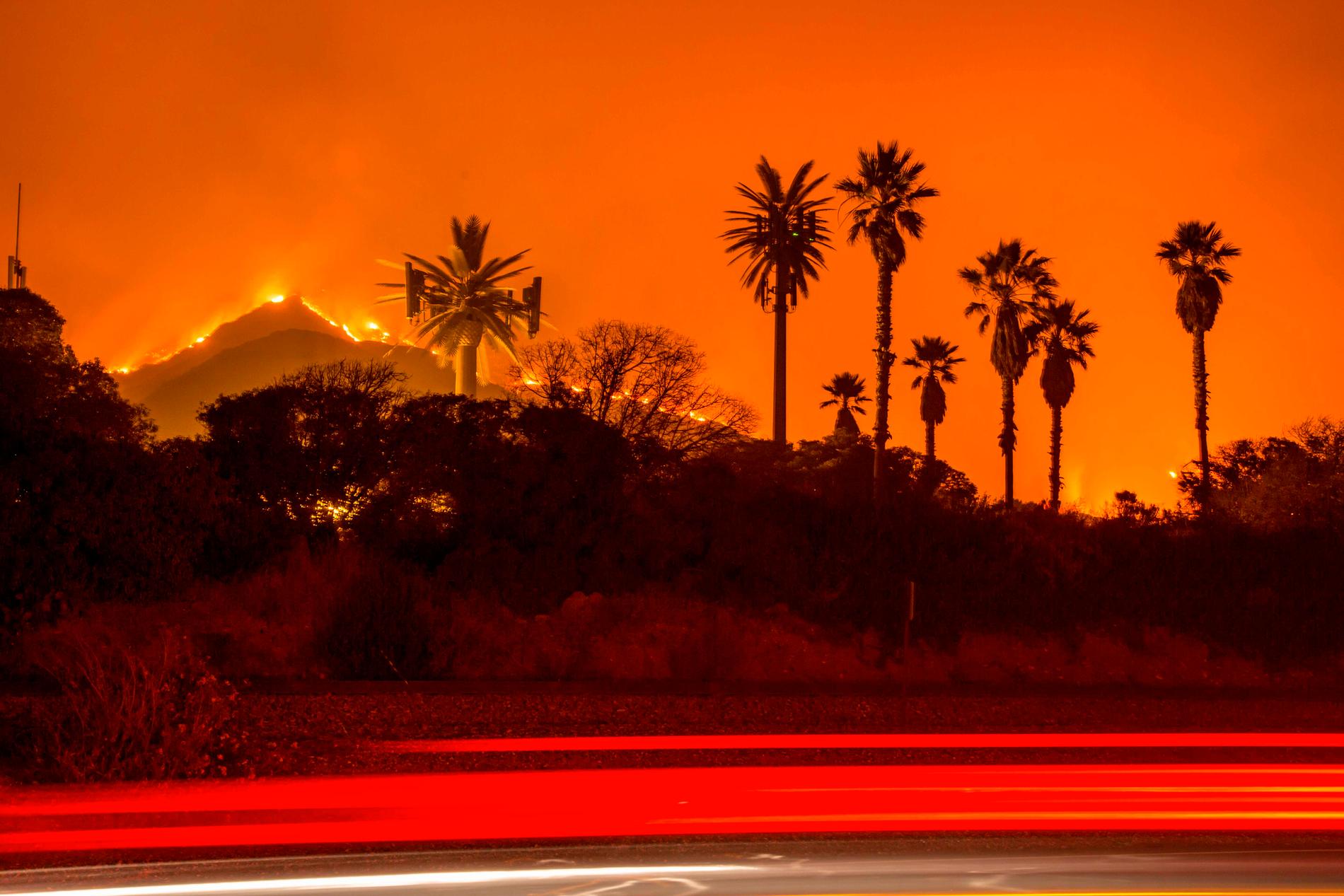 Vilda skogsbränder härjar just nu i Kalifornien.
