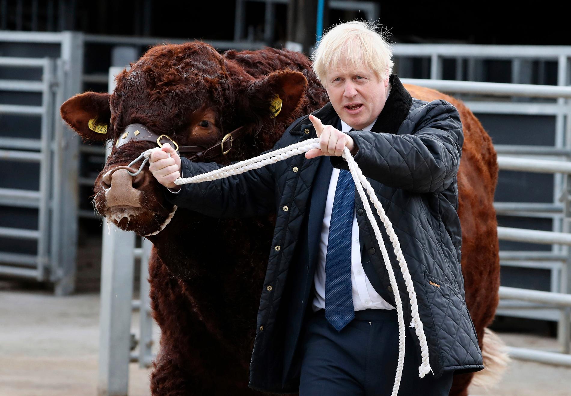Boris Johnsons tjuraktiga strategi förändrar Storbritannien