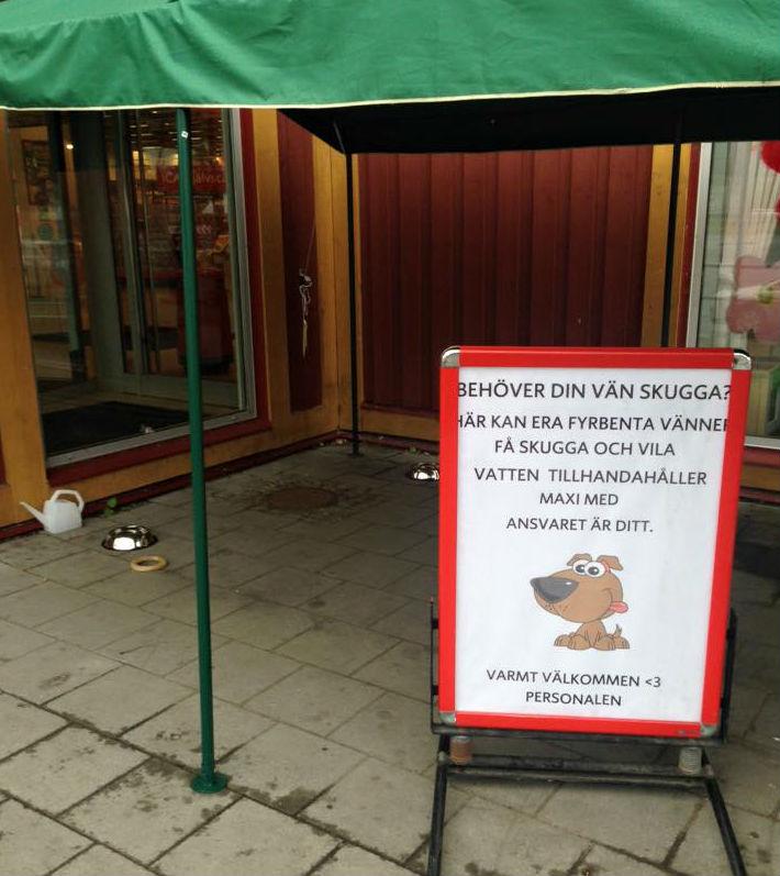 Butikens hundhjälp gillas av tusentals på Facebook. Foto: Linda Backström