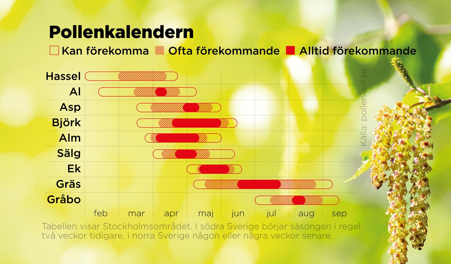 Pollensäsongen kan delas in i tre perioder; först våren då lövträden blommar, därefter sommaren med gräspollen och slutligen sensommaren/hösten som är säsong för gråbo. Tack vare kylan är halterna låga i hela Sverige för tillfället.
