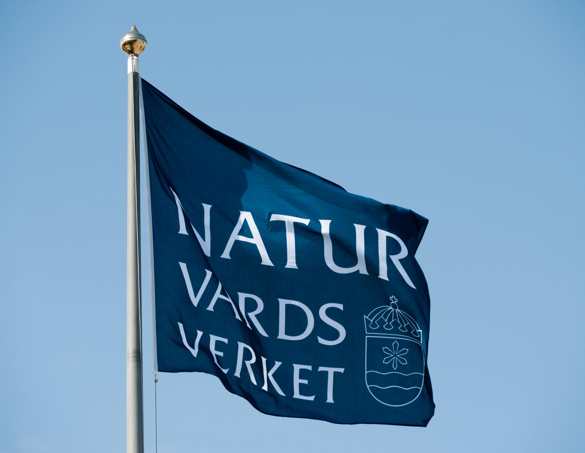 Naturvårdsverket är den myndighet som ansvarar för att samordna Sveriges miljöarbetet. Arkivbild.
