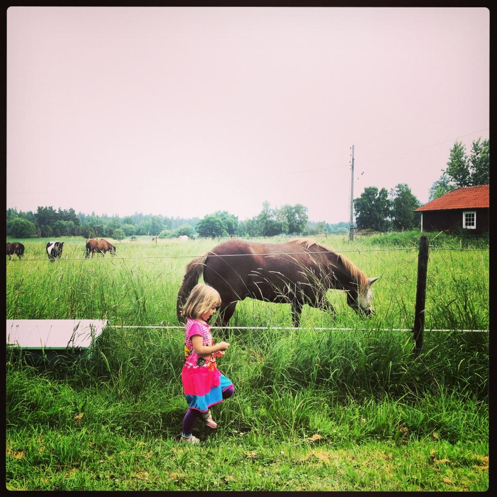 Thea, 5, älskar hästar. Bilden är tagen under en semestervistelse i östra Eskilstuna.
