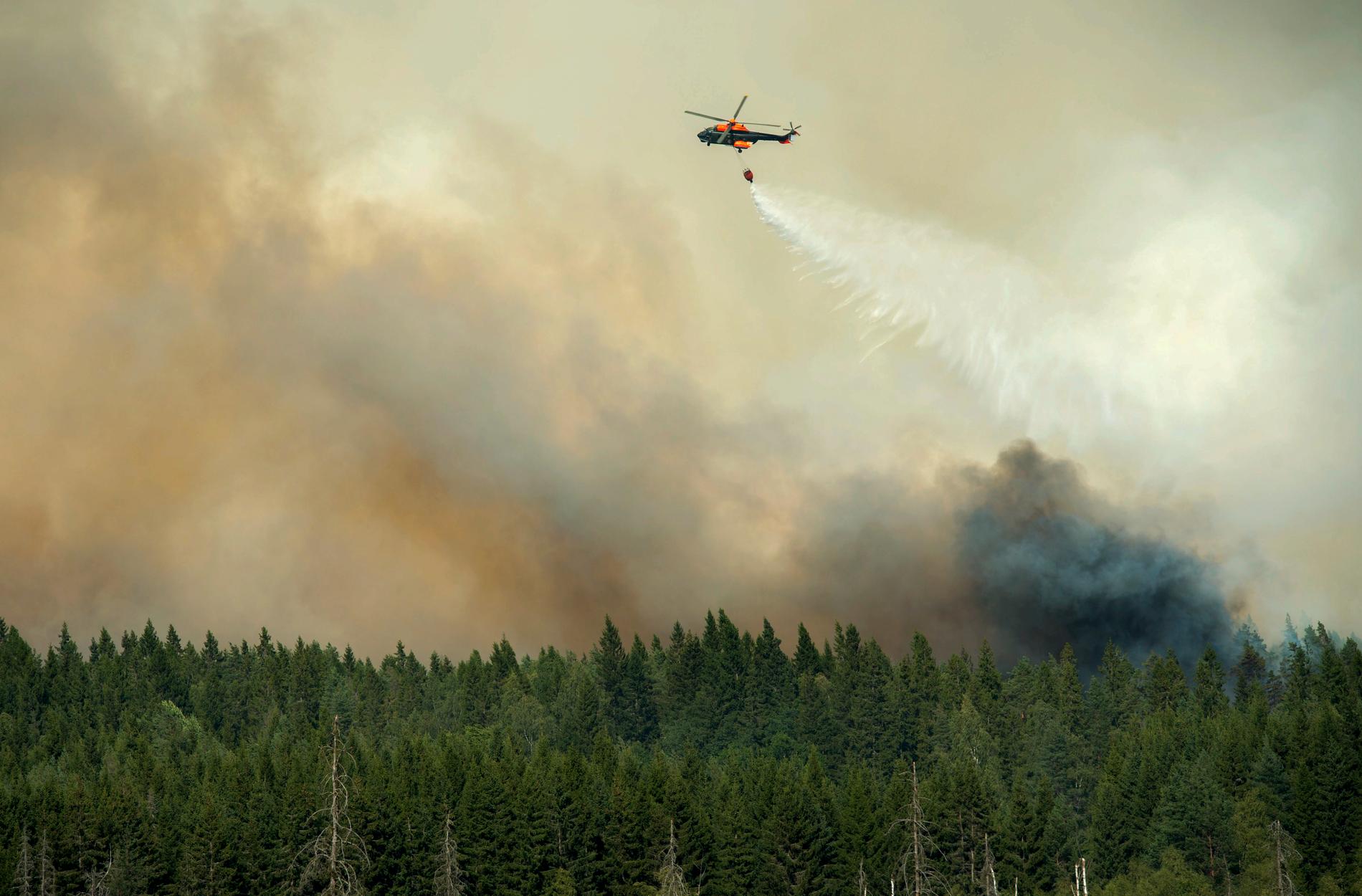 En helikopter vattenbombar skogsbranden i Västmanland, då 14 000 hektar skog till ett värde av hundratals miljoner brann upp sommaren 2014. Arkivbild.