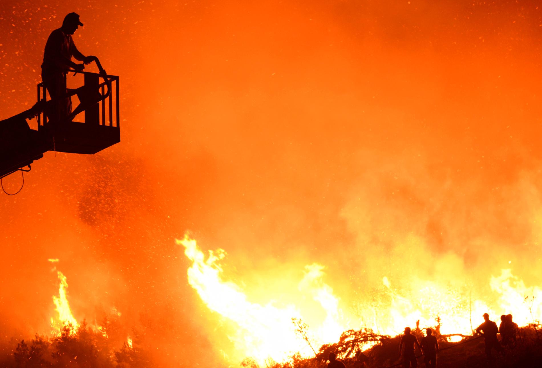 Brandman som försöker bekämpa bränder i Cypern i juni. 