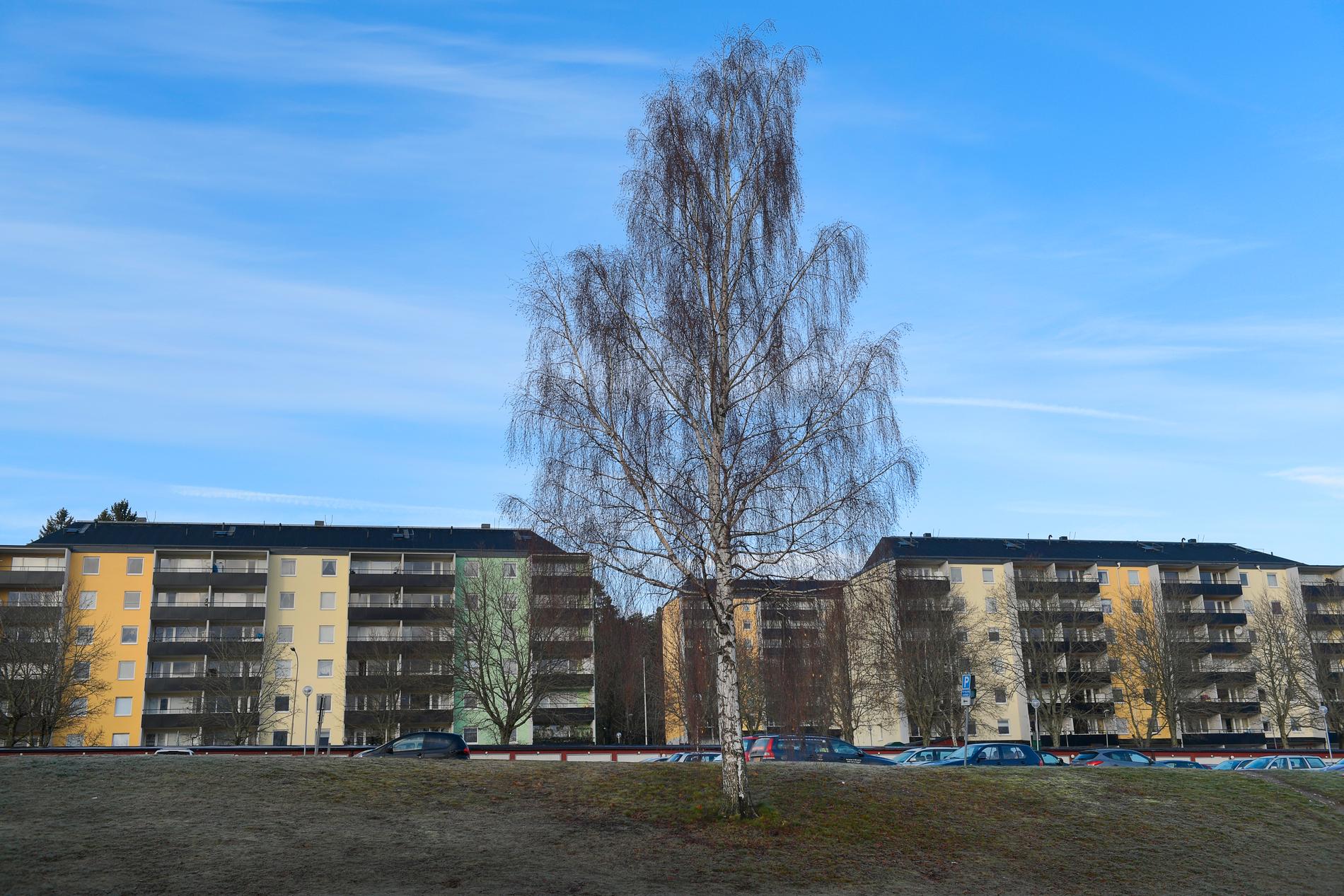 Stadsdelen Ronna i nordvästra Södertälje anses i polisens senaste lägesbild över kriminell påverkan i lokalsamhället vara ett så kallat "särskilt utsatta område". Arkivbild.
