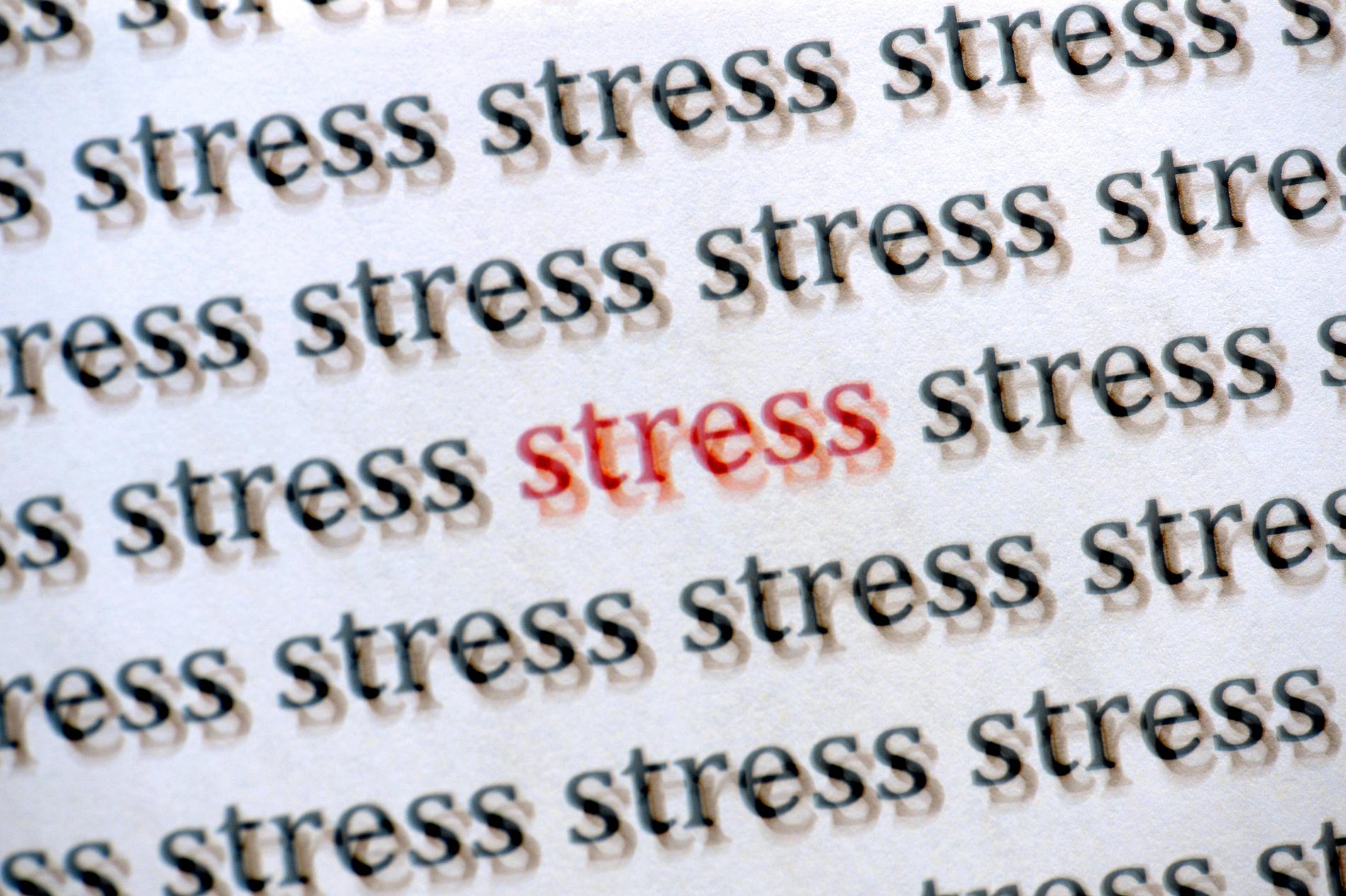 Stress och andra brister i arbetsmiljön leder till att fler lärare säger upp sig och blir arbetslösa. Arkivbild.
