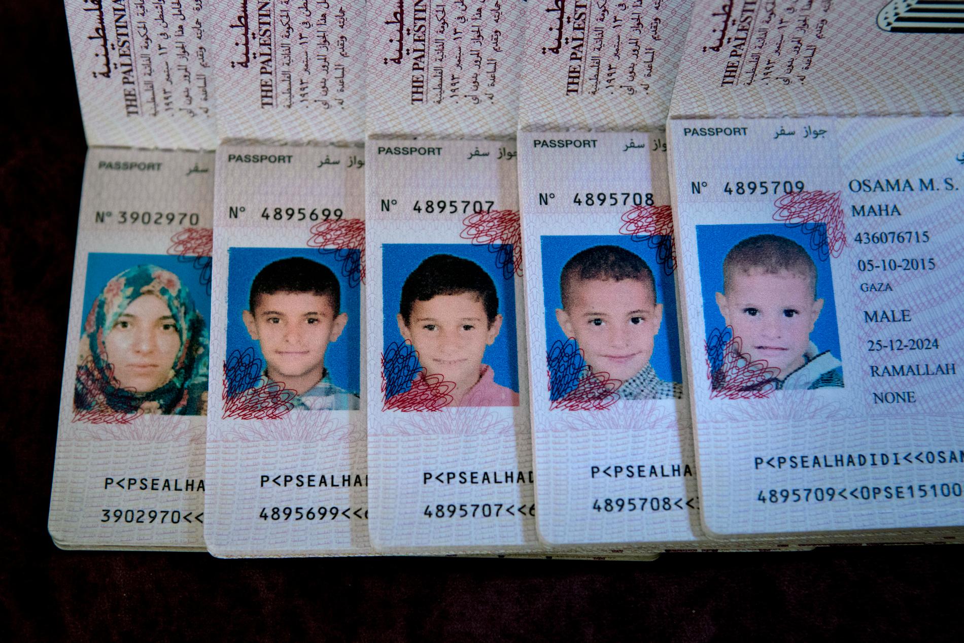 Familjen hade gjort nya pass med en dröm om att ta sig till Sverige. 