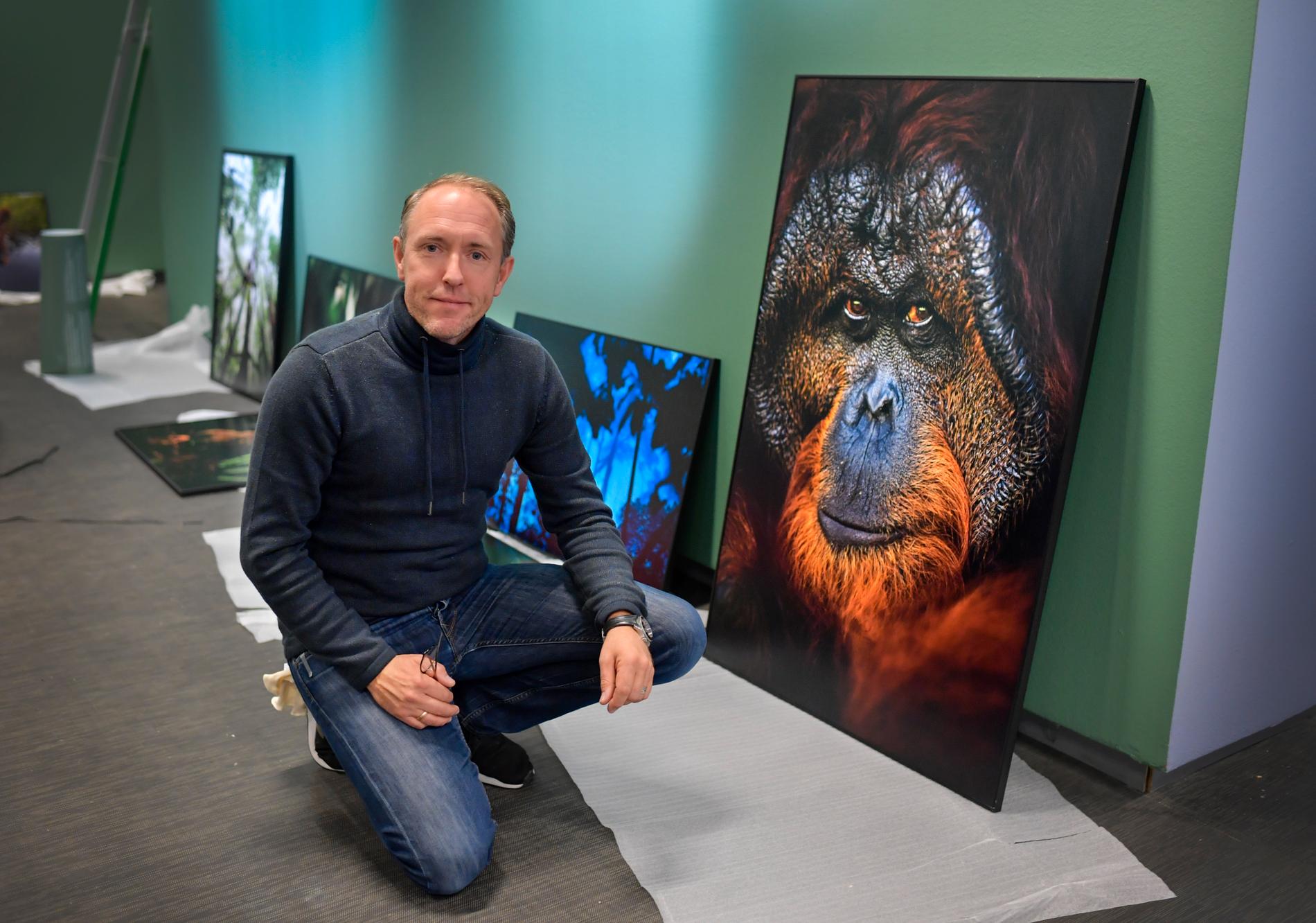 Mattias Klum med en apa han fotograferade på Borneo, där palmskogsplantagerna nu hotar regnskogen.
