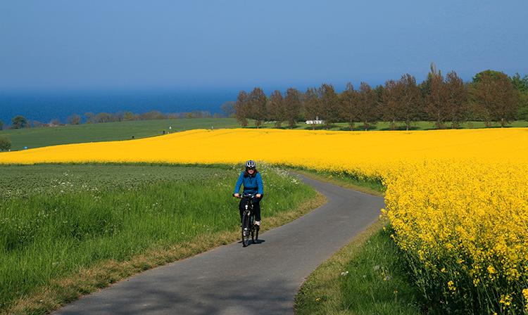På Bornholm kan du kobinera cykelturer med sol- och badsemester.