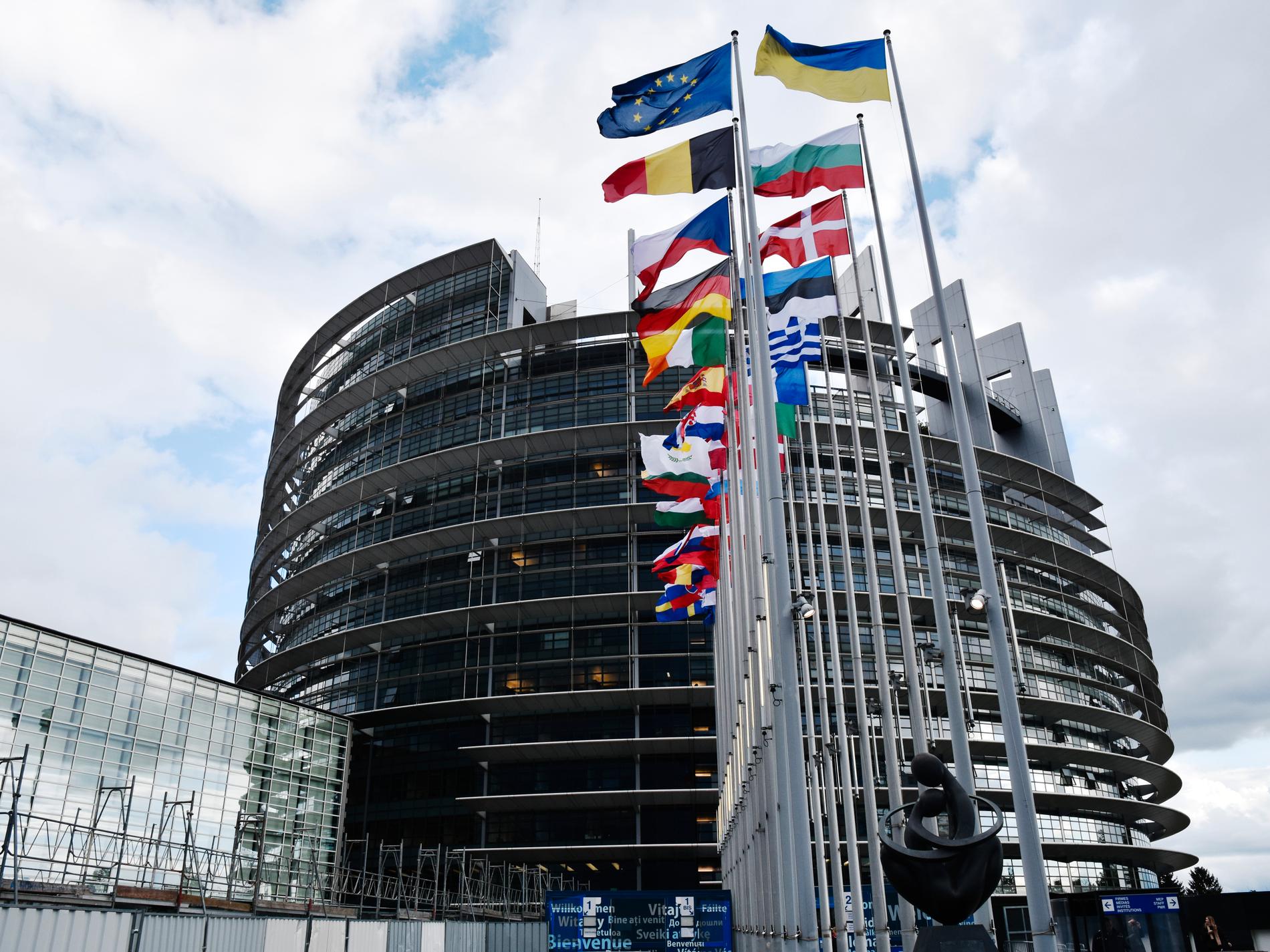 SVT/Verian: L kan mista plats i EU-parlamentet