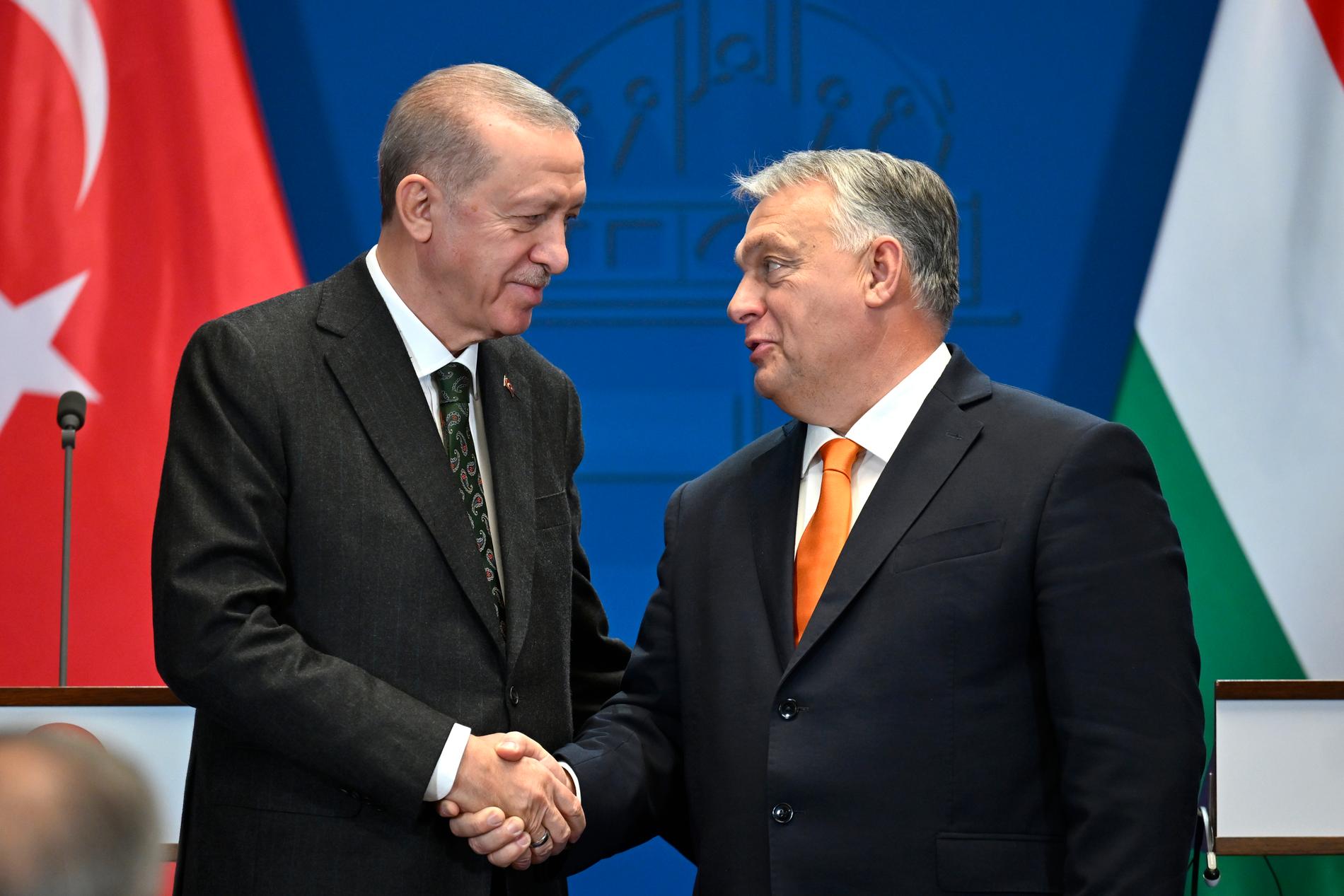 Erdogan och Orban. 