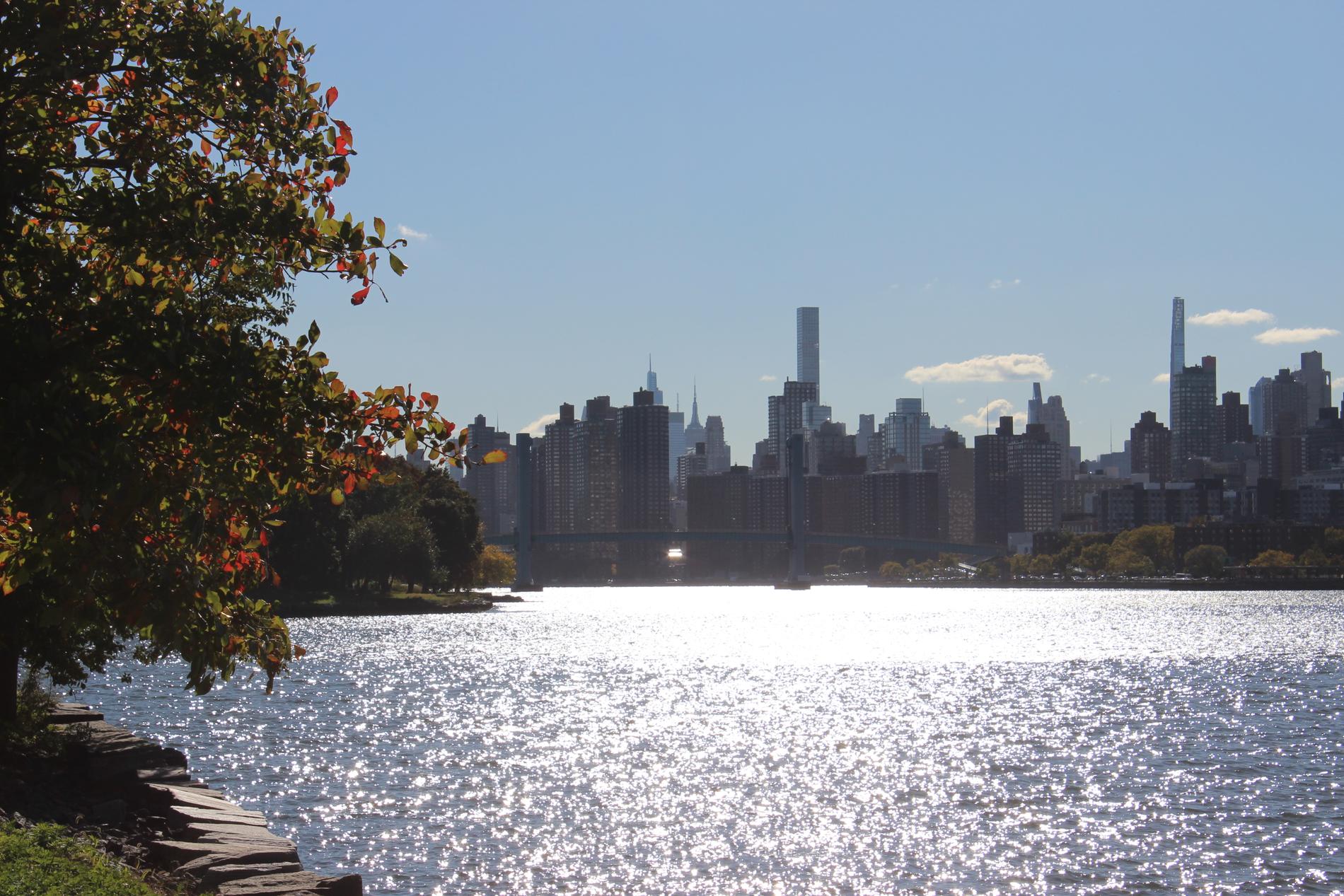 Manhattans skyline ses från ön.