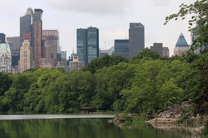 Ta en promenad i Central park och se löven skifta i rött och gult mot en kuliss av skyskrapor - det är gratis.