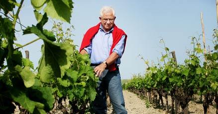 Nicodemo Librandi äger en vingård i Kalabrien i södra Italien. Hit kommer vi för en härlig rundvandring bland vinstockar, olivlundar och – givetvis – för att avnjuta ett glas vin.